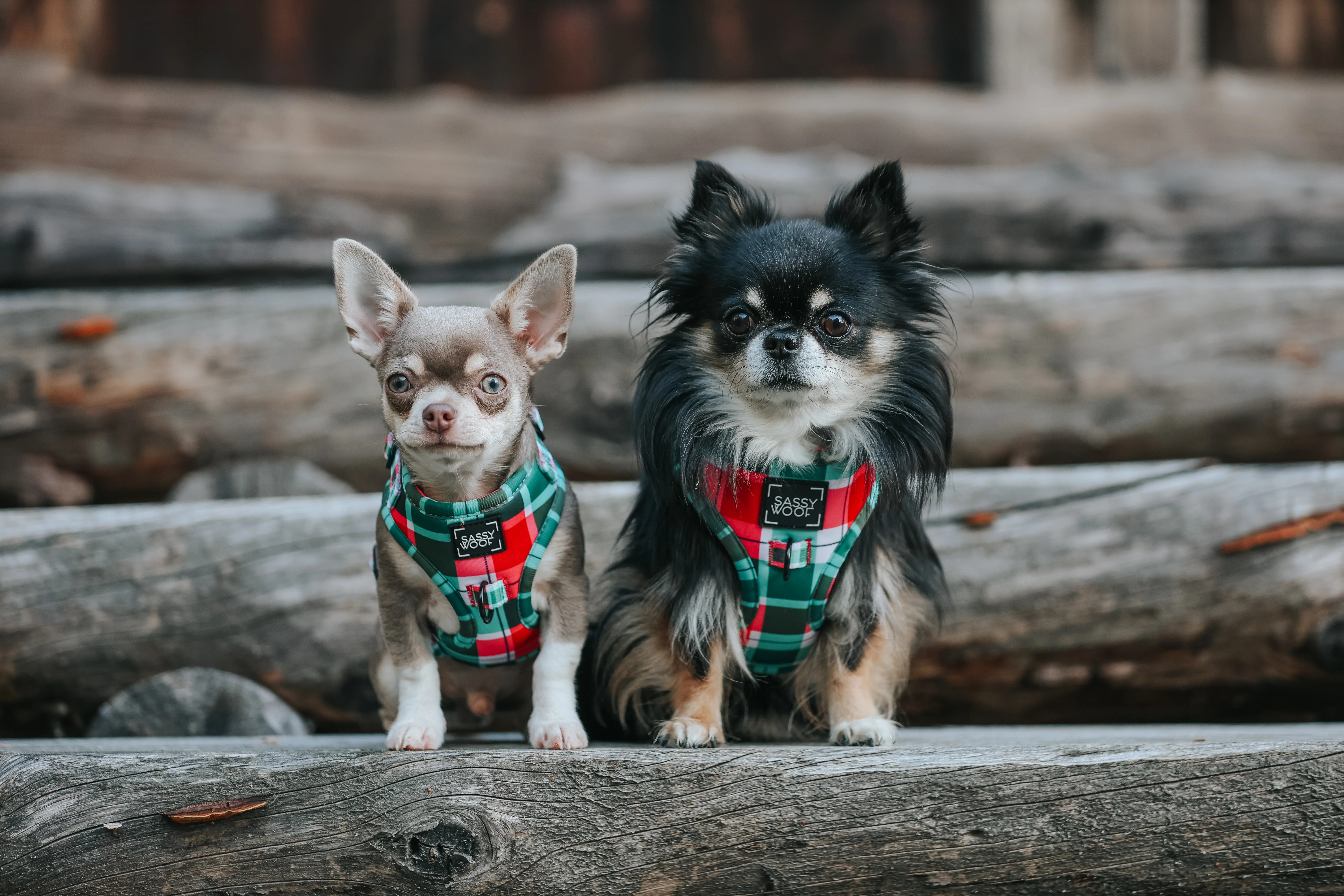 Dog Adjustable Harness - Jingle Barks - Image 7