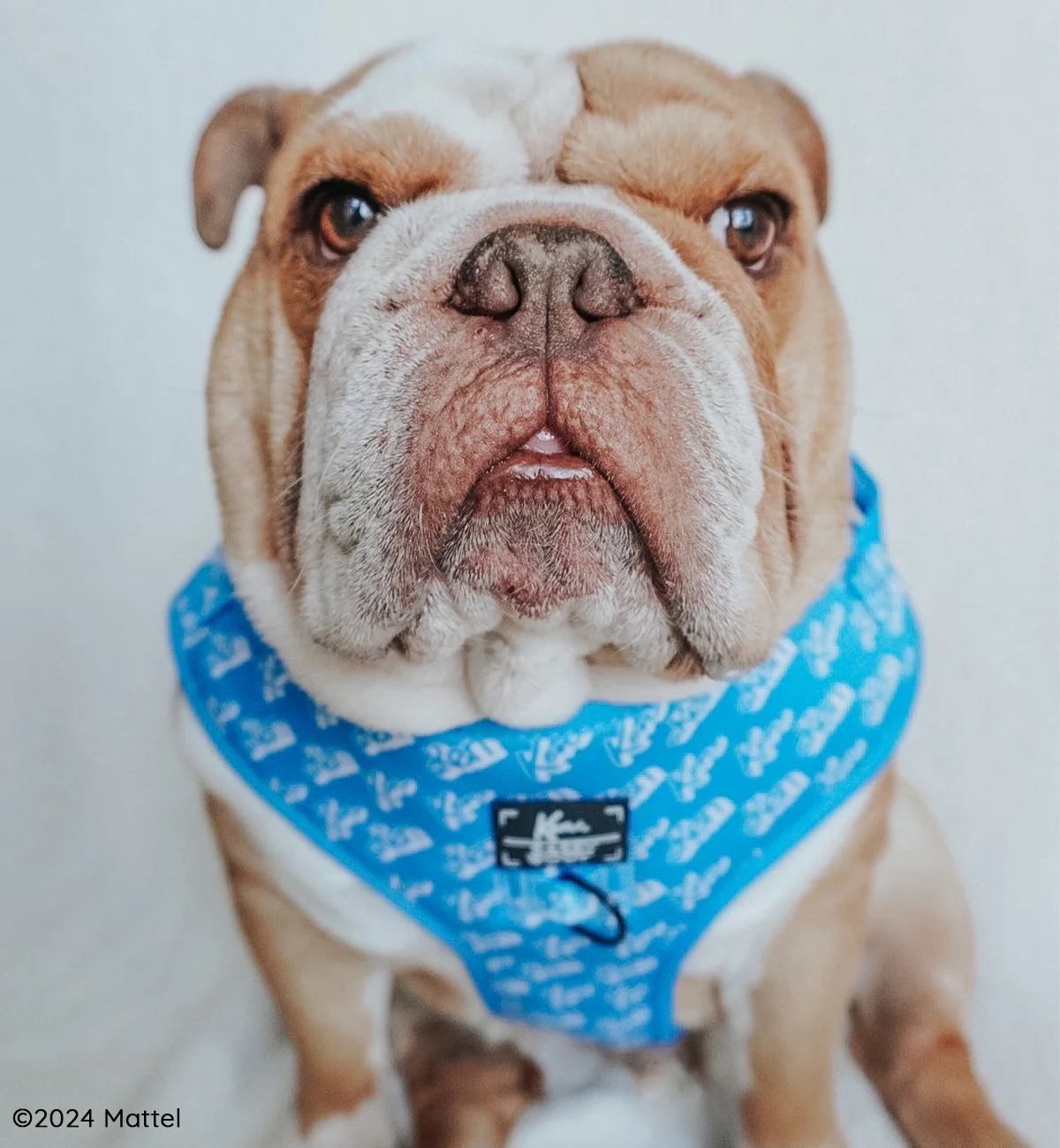 Dog Adjustable Harness - KEN™ - Image 9