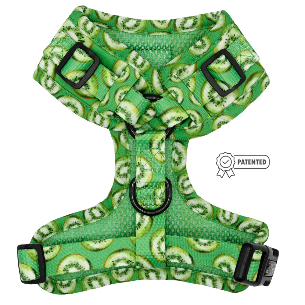 Dog Adjustable Harness - Kiwi Krazy - Image 2