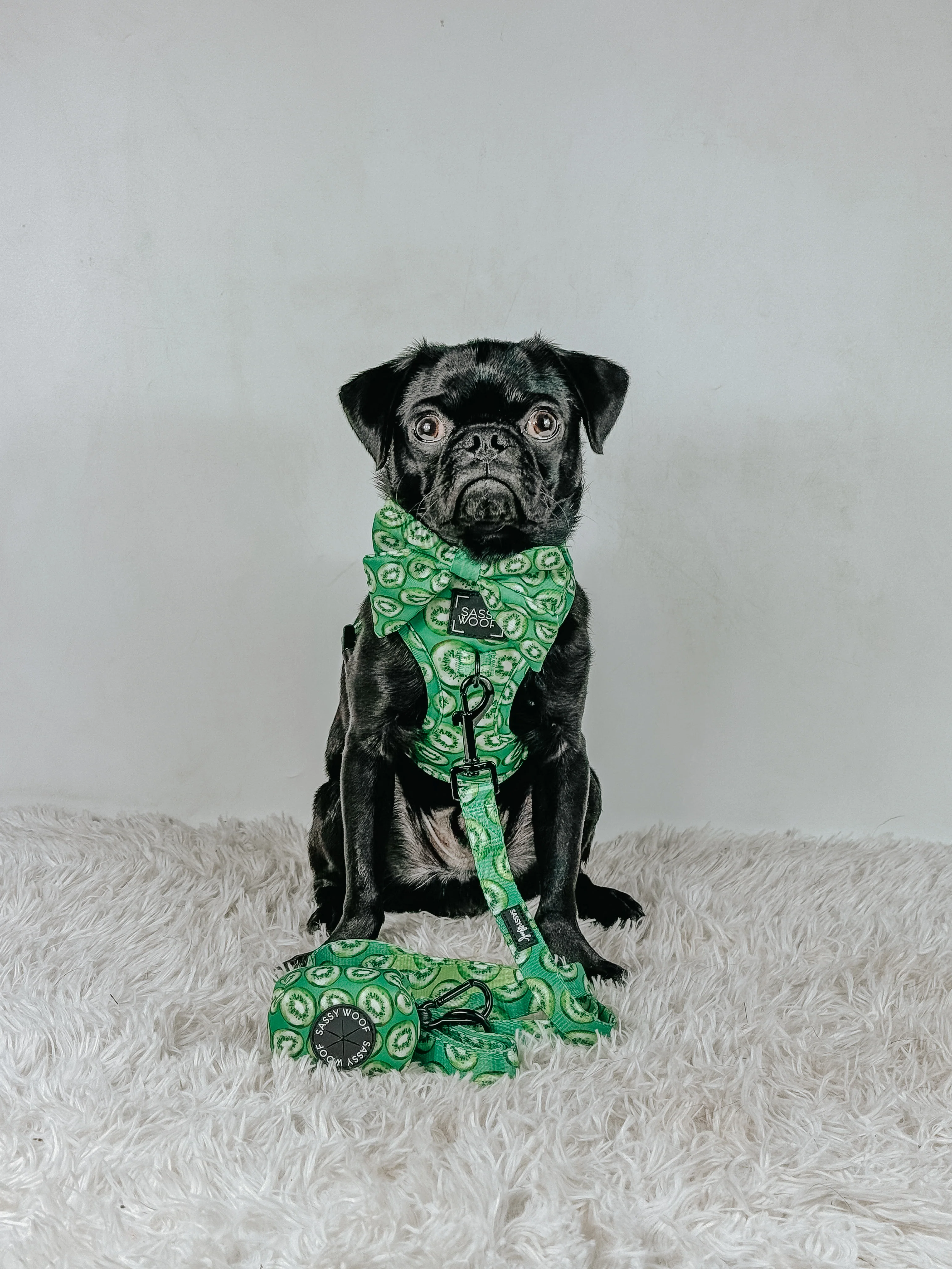 Dog Adjustable Harness - Kiwi Krazy - Image 9