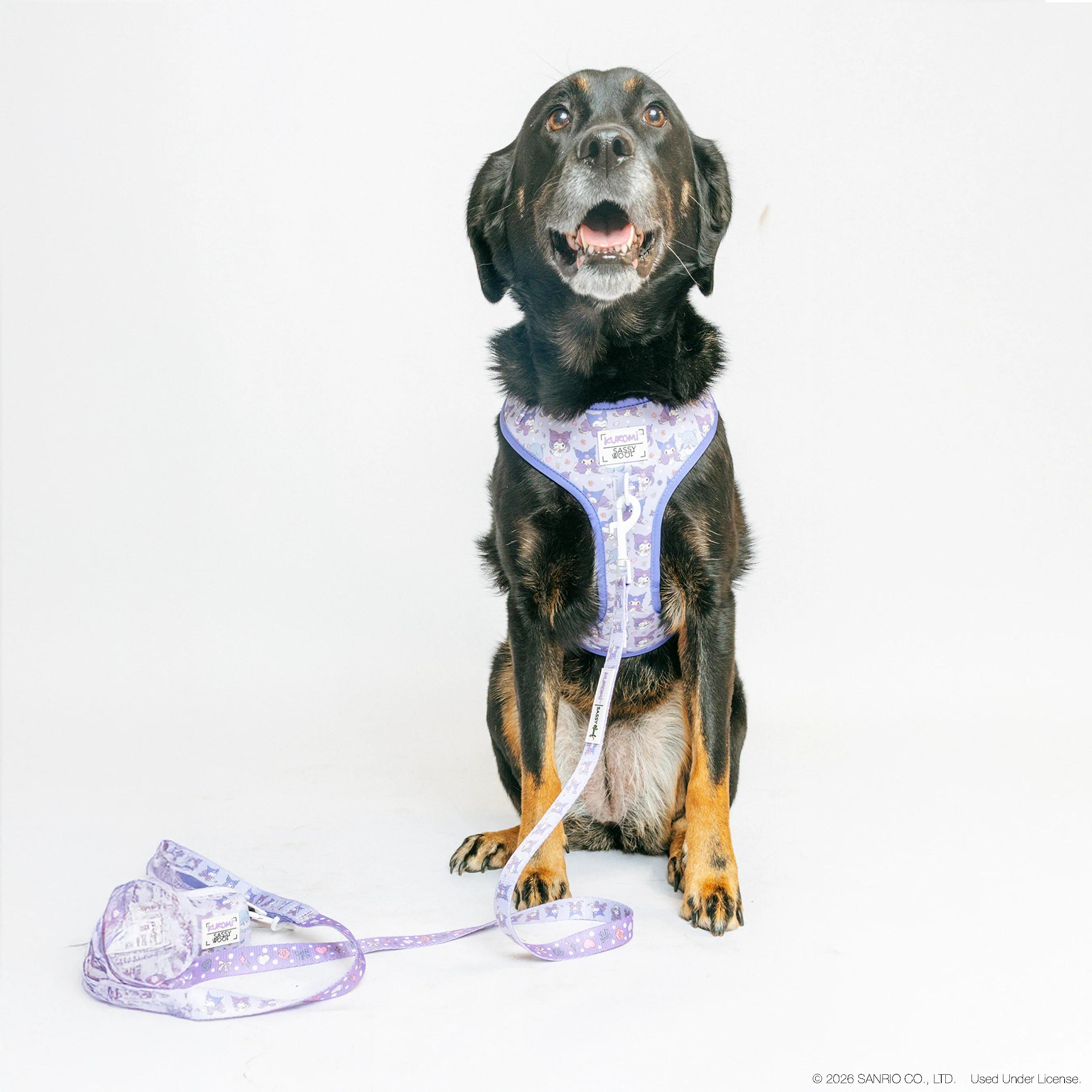 Dog Adjustable Harness - Kuromi™ - Image 6