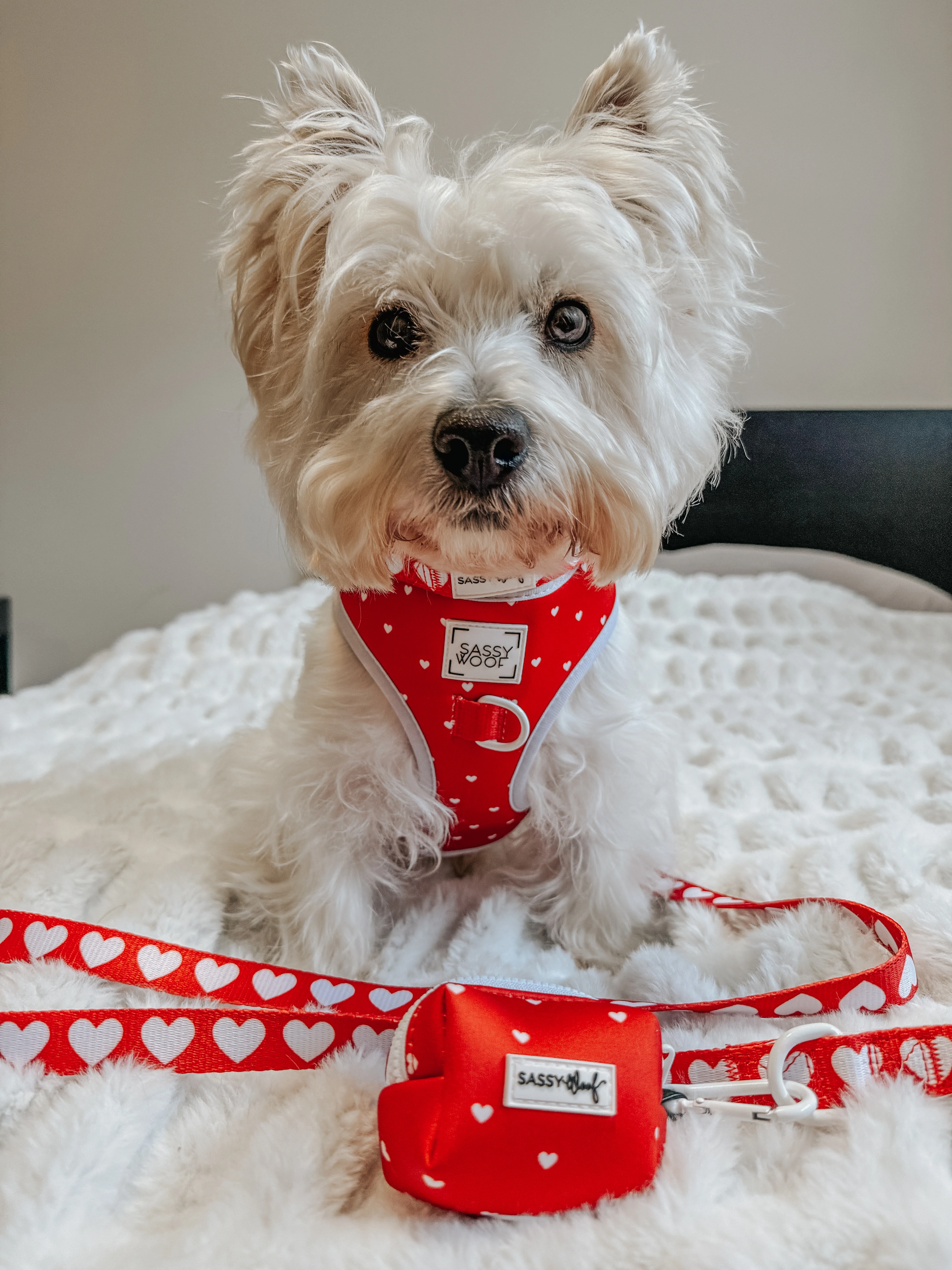 Dog Adjustable Harness - Little Love - Image 15