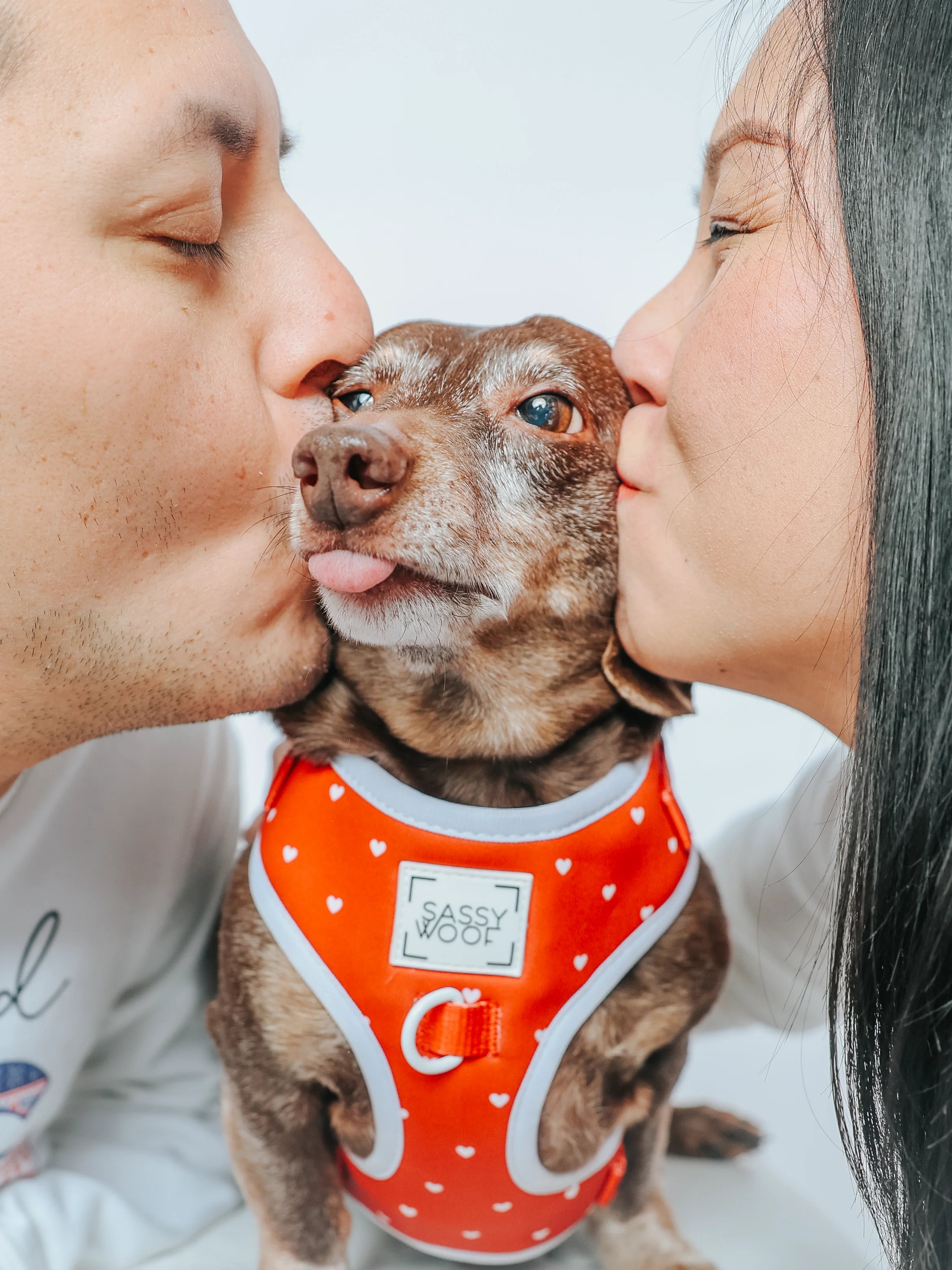 Dog Adjustable Harness - Little Love - Image 8