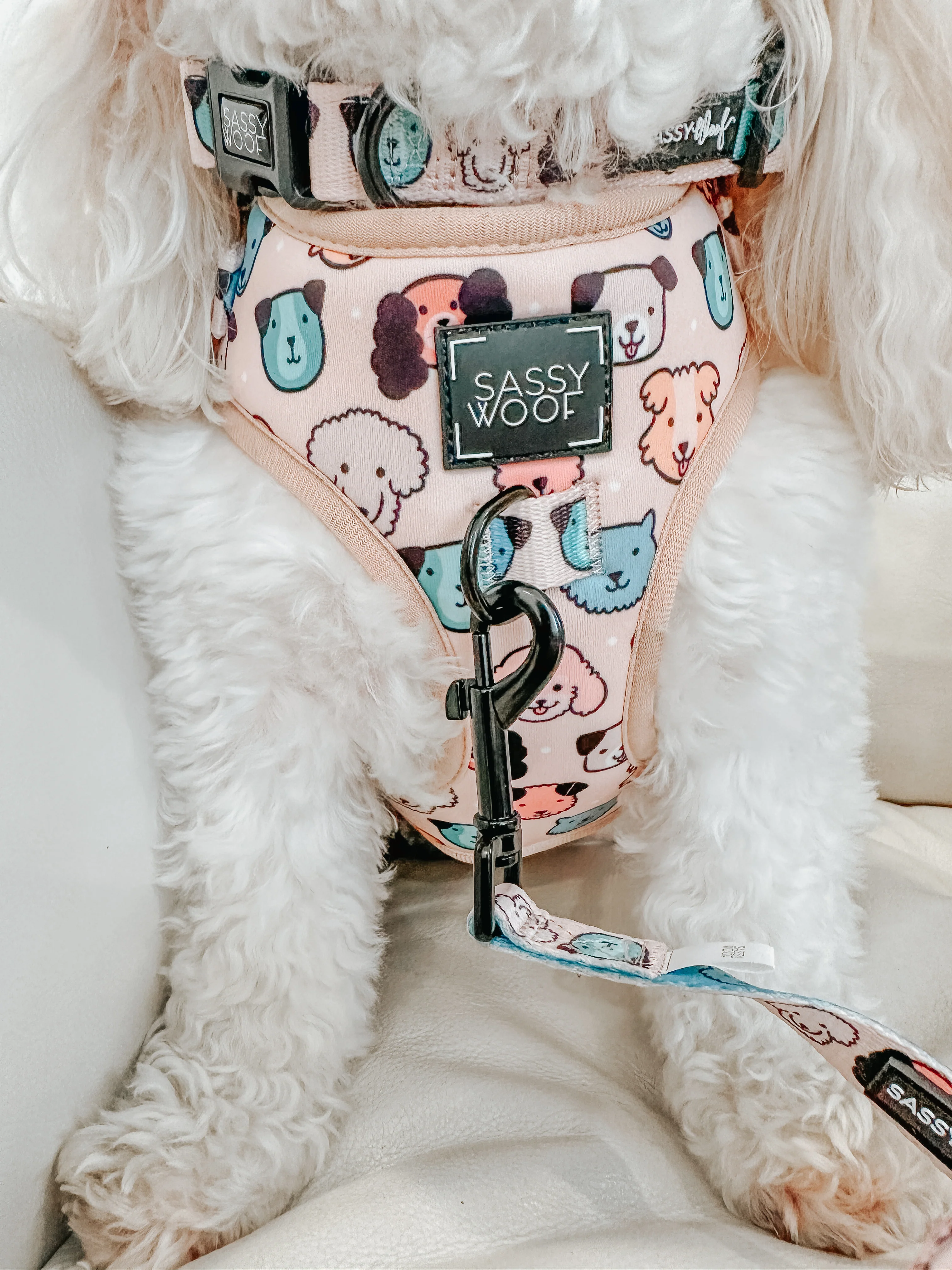 Dog Adjustable Harness - Mixed With Love - Image 14