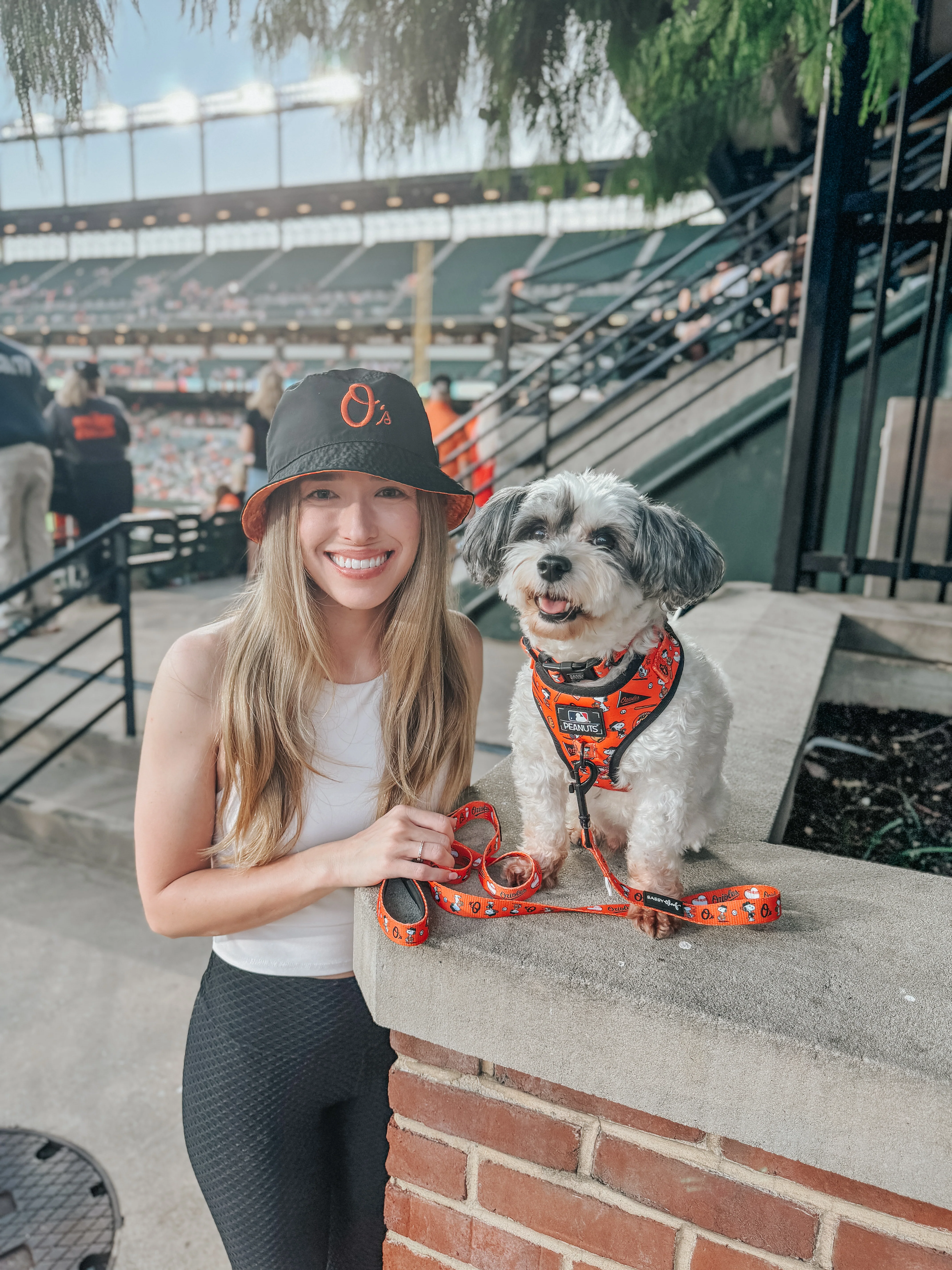 Dog Two Piece Bundle - MLB™ x Peanuts™ Baltimore Orioles™ - Image 8