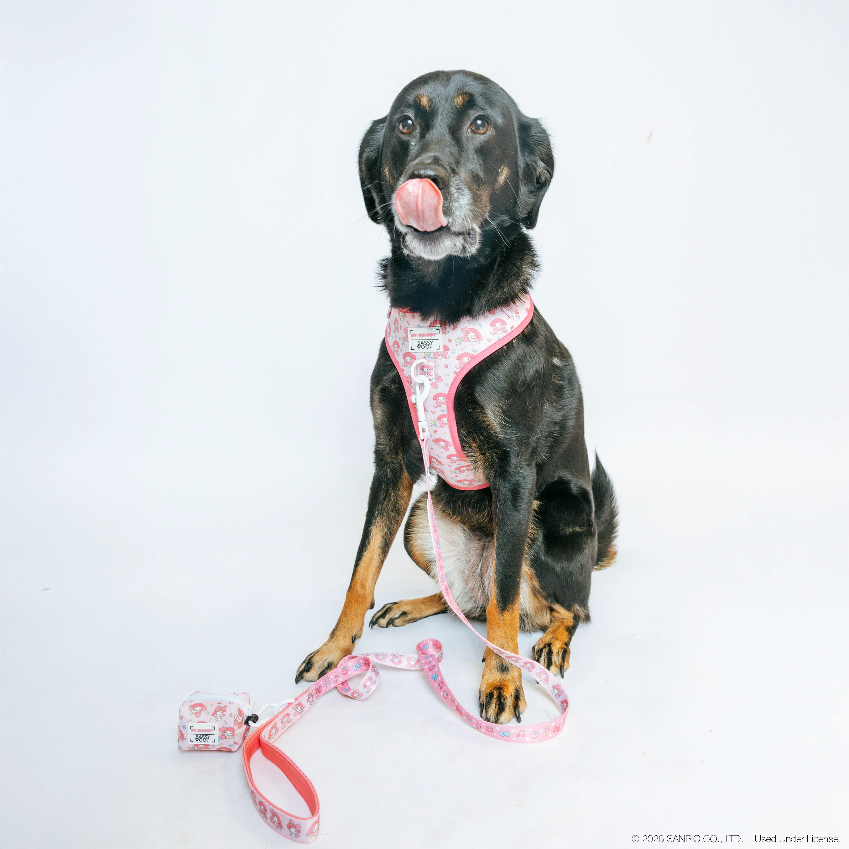Dog Adjustable Harness - My Melody™ - Image 7