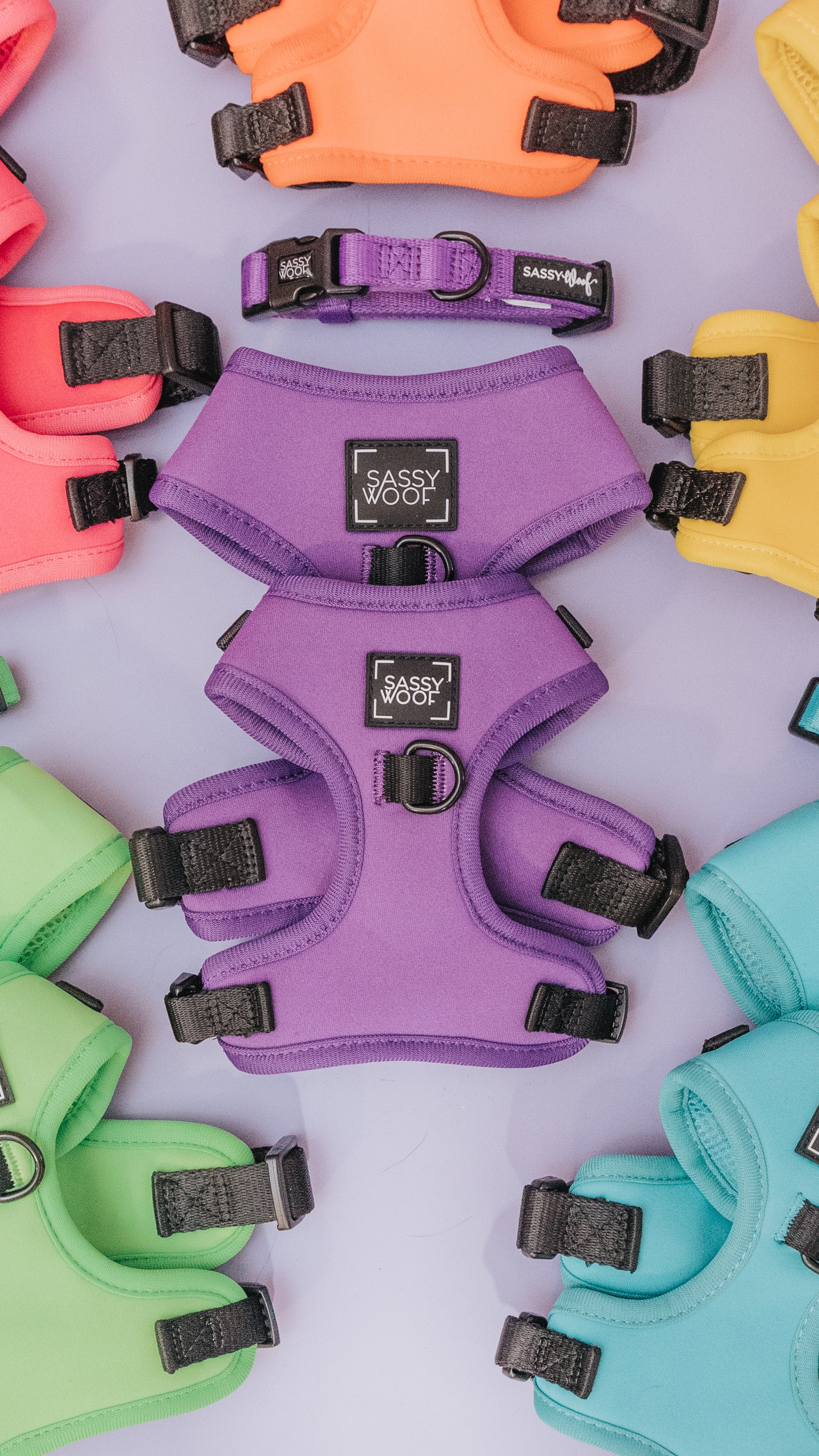Dog Adjustable Harness - Neon Purple - Image 5