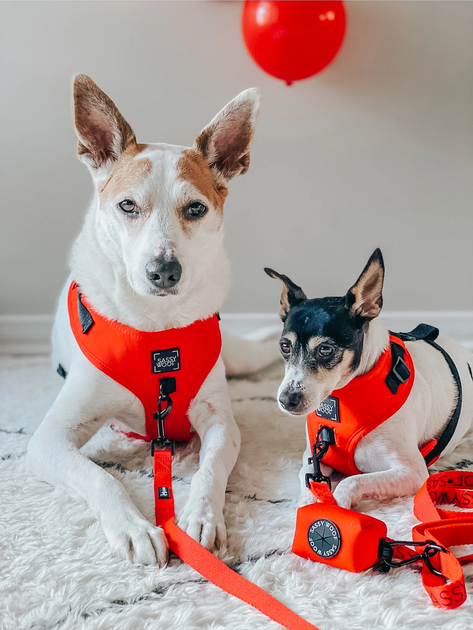 Dog Adjustable Harness - Neon Red - Image 17