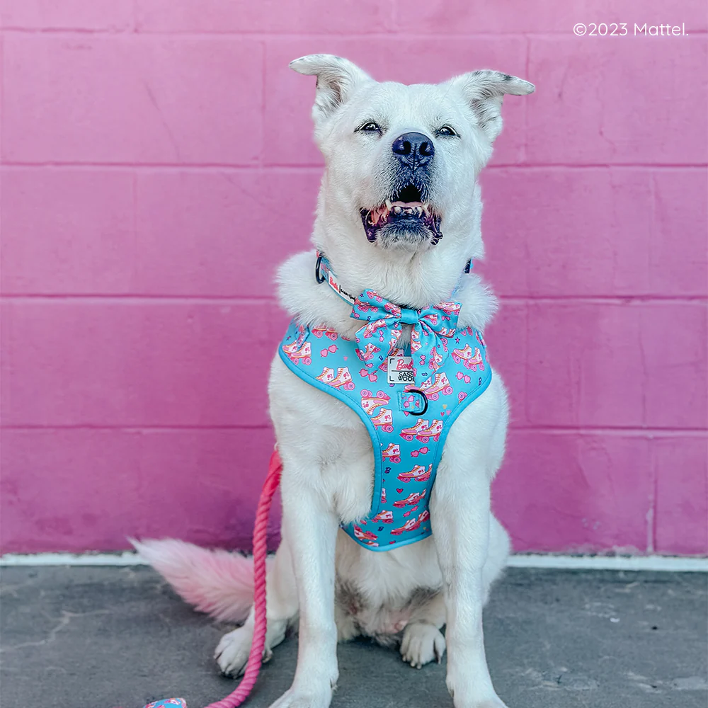 Dog Adjustable Harness - BARBIE™ On a Roll - Image 20