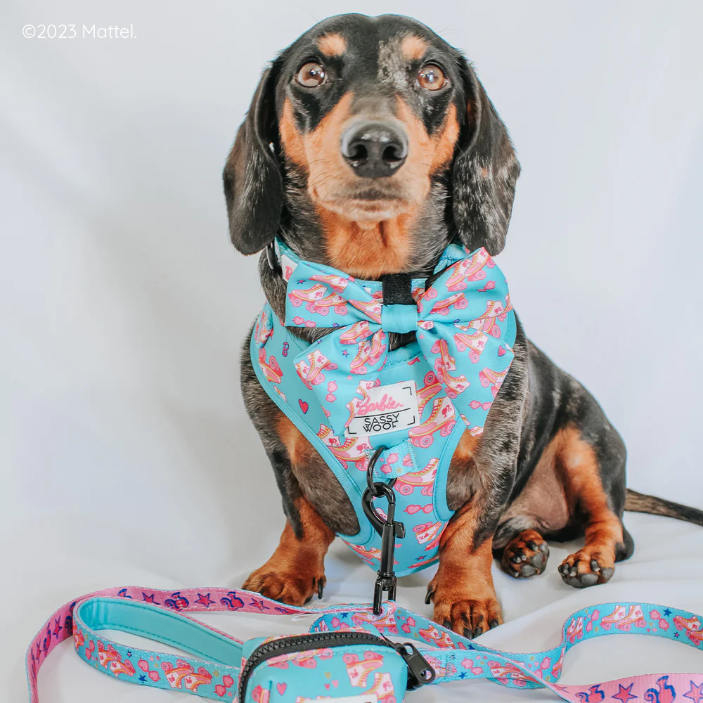 Dog Adjustable Harness - BARBIE™ On a Roll - Image 6