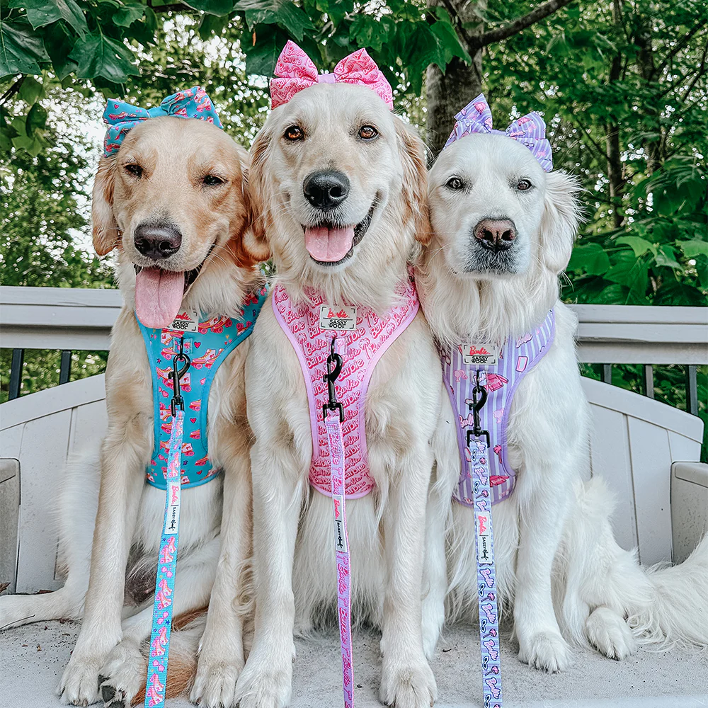 Dog Adjustable Harness - BARBIE™ On a Roll - Image 7