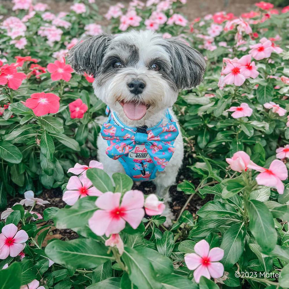 Dog Adjustable Harness - BARBIE™ On a Roll - Image 9