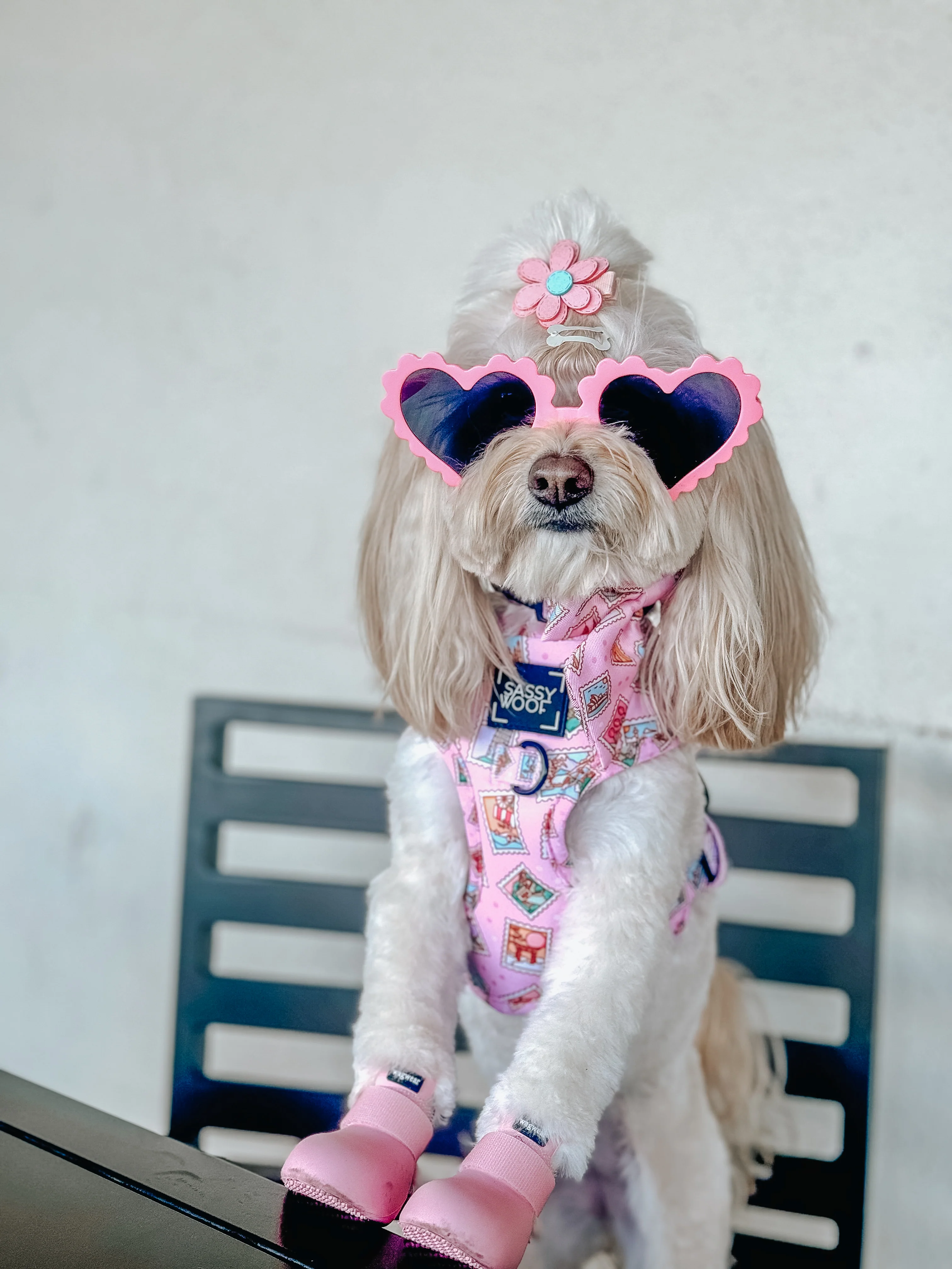 Dog Adjustable Harness - Out of Office - Image 17