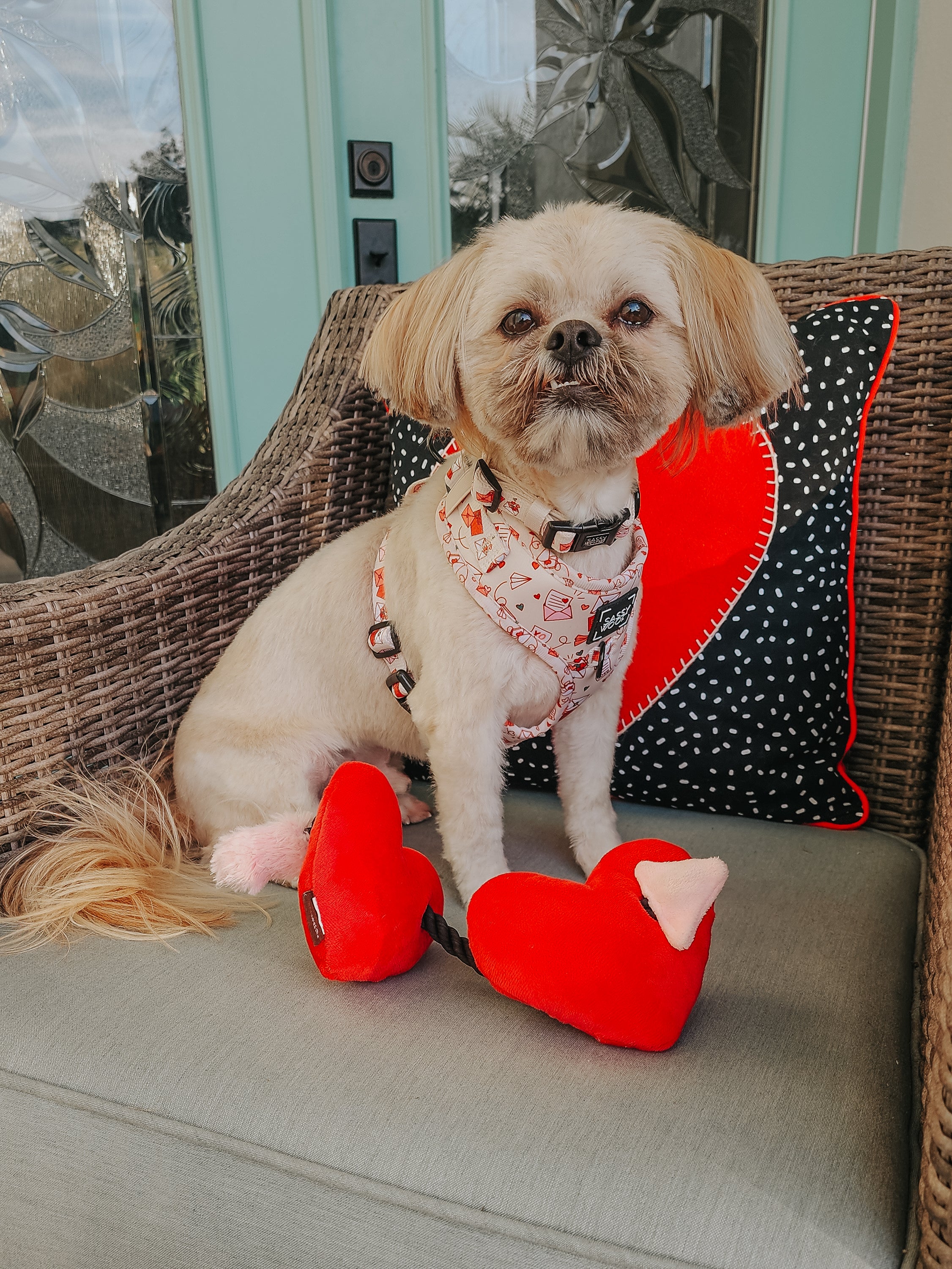 Dog Adjustable Harness - P.S. I Woof You - Image 12