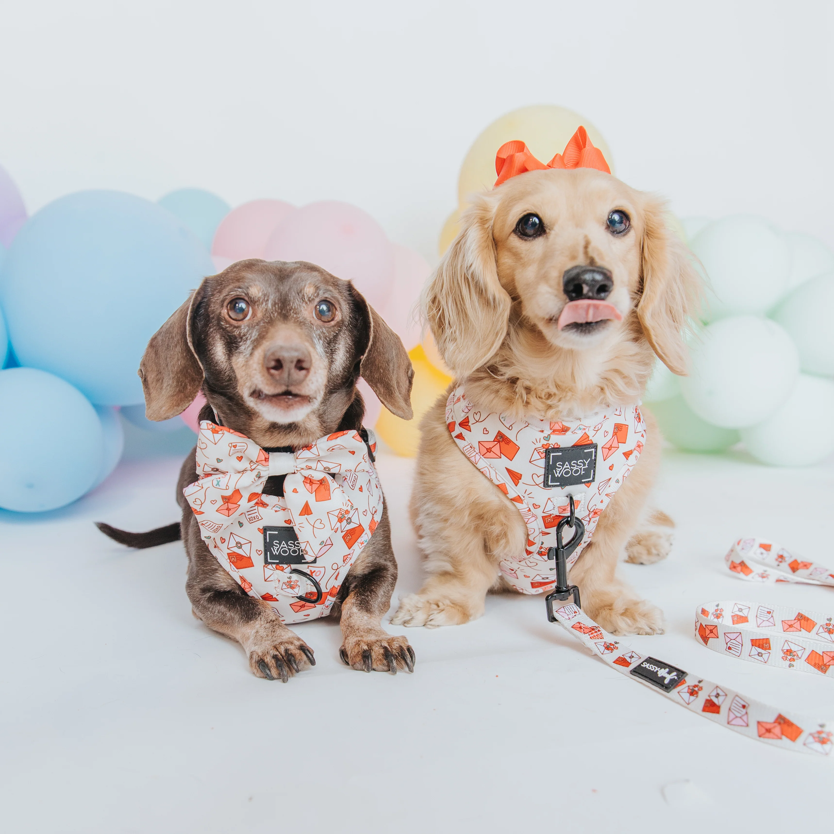Dog Adjustable Harness - P.S. I Woof You - Image 6
