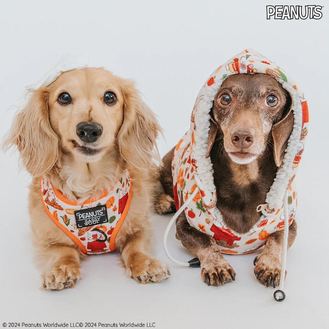 Dog Adjustable Harness - Peanuts™ Harvest - Image 6