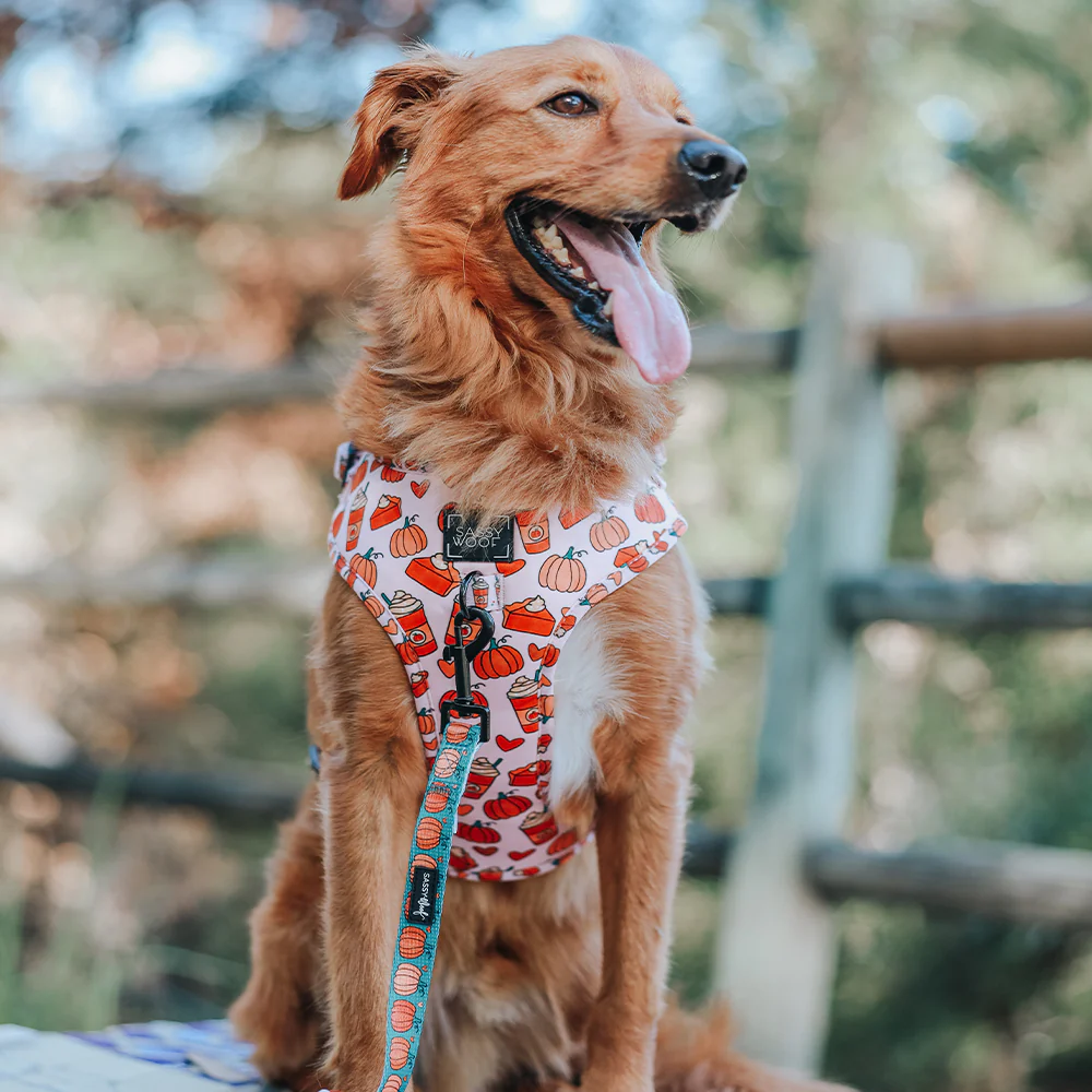 Dog Adjustable Harness - Pie There! - Image 7
