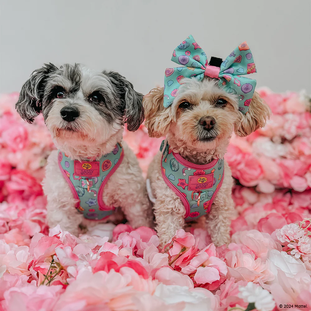 Dog Adjustable Harness - Polly Pocket™ - Image 9