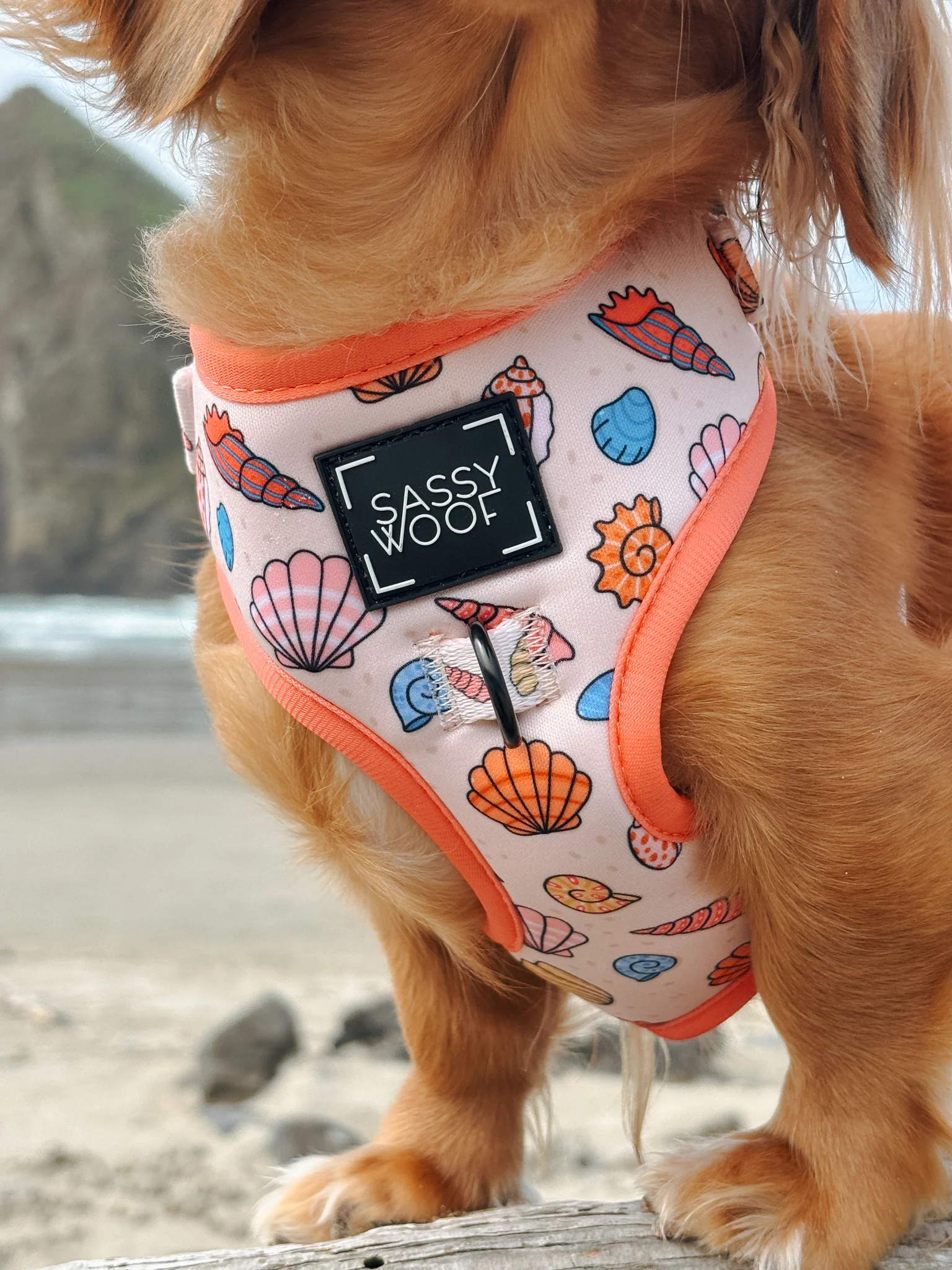 Dog Adjustable Harness - Shell Yeah - Image 14