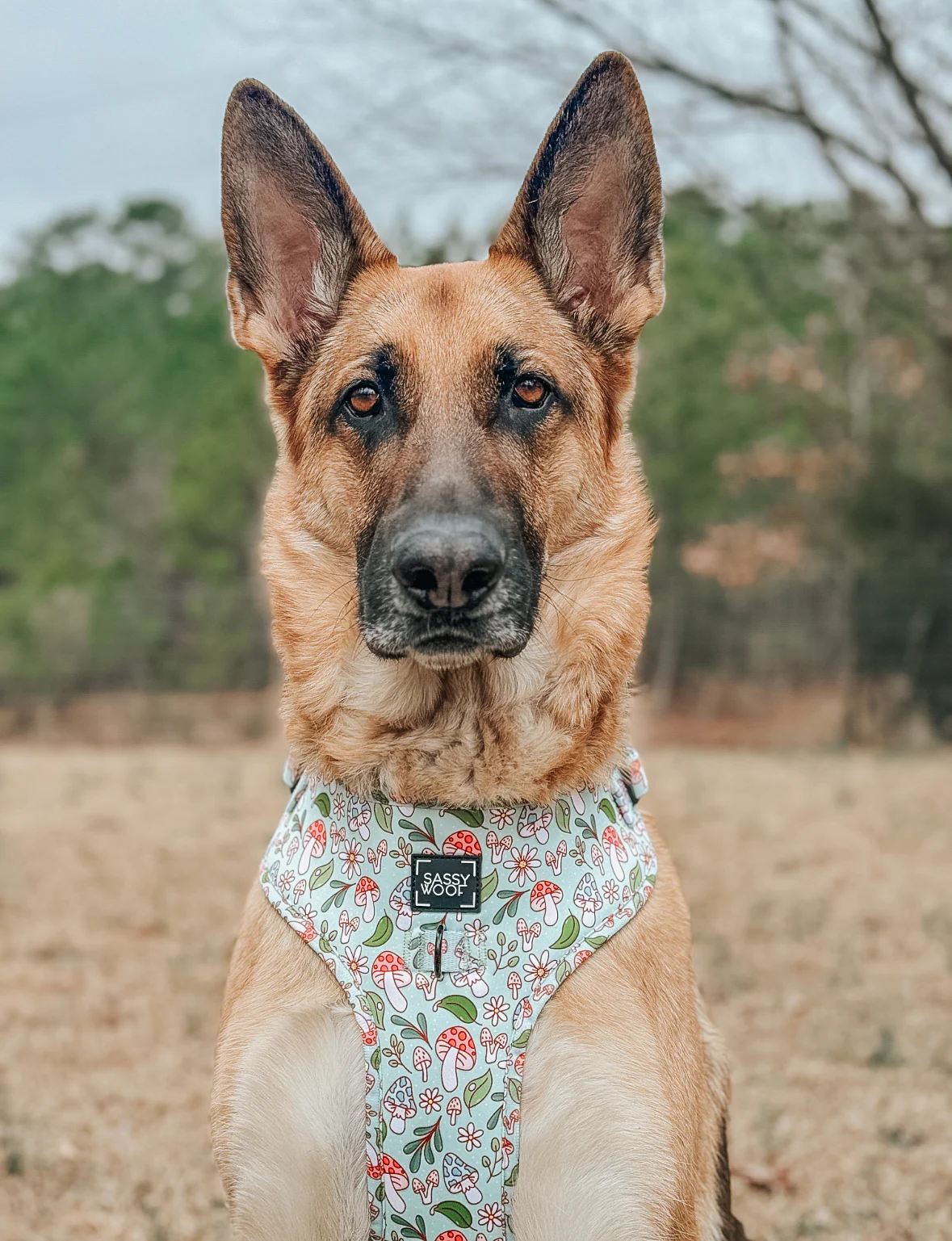 Dog Adjustable Harness - Shrooms & Blooms - Image 7
