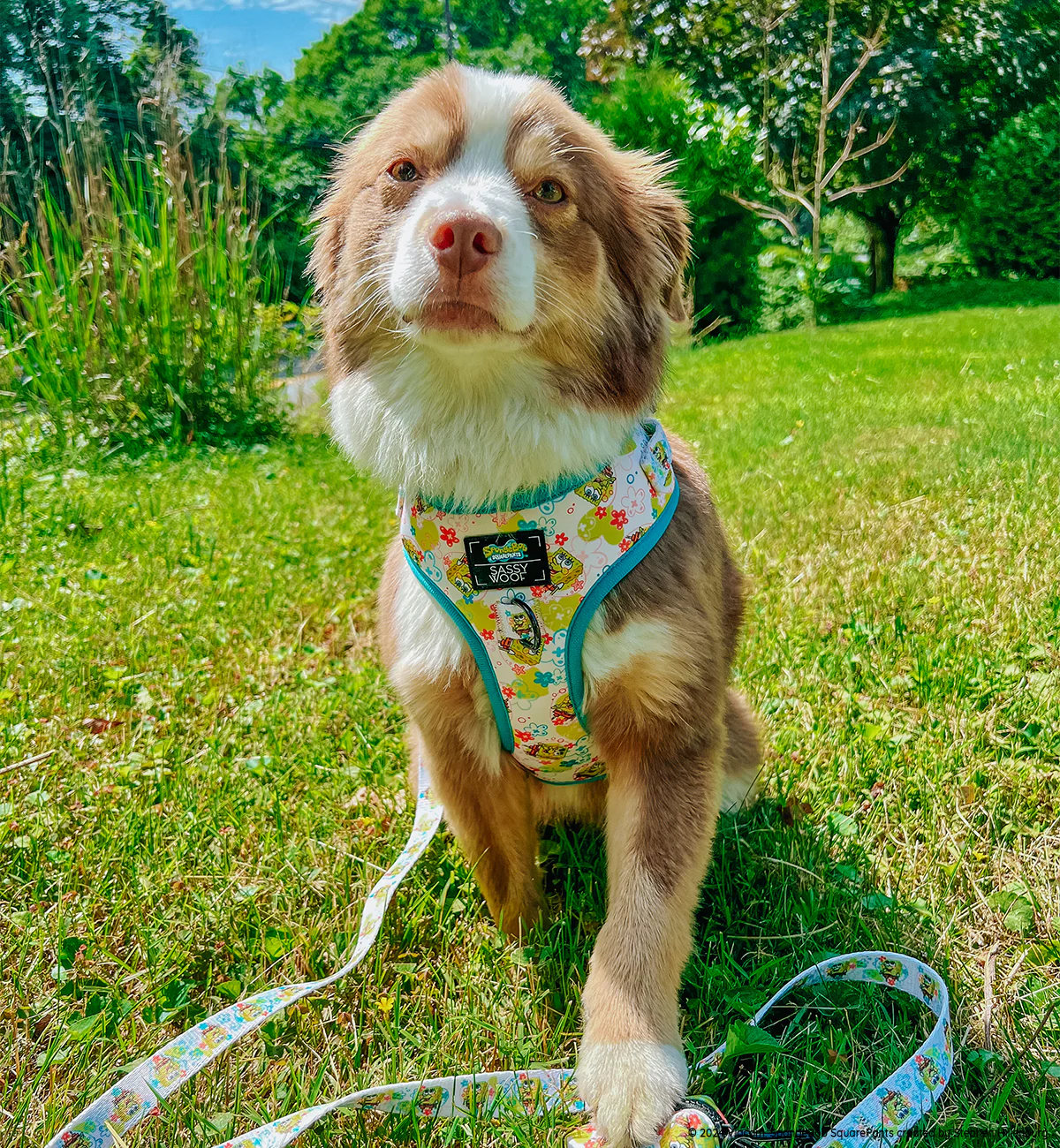 Dog Adjustable Harness - SpongeBob SquarePants™ Bikini Bottom - Image 7
