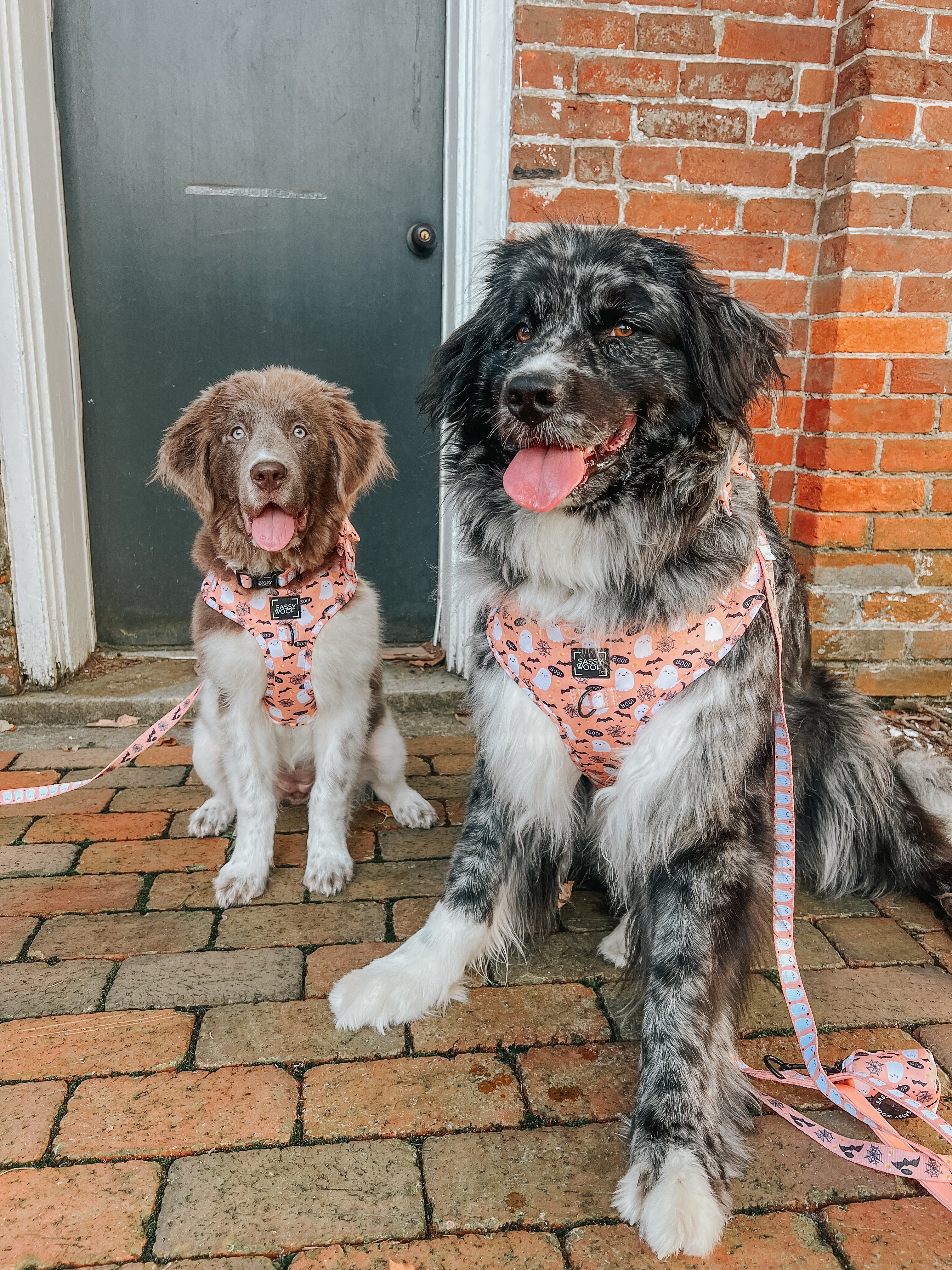 Dog Adjustable Harness - Squad Ghouls - Image 8