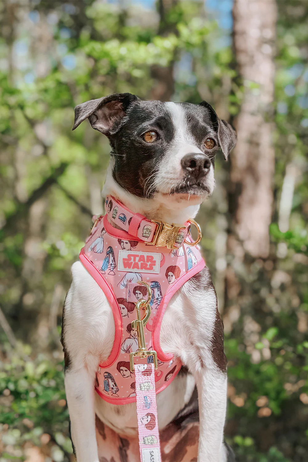 Dog Adjustable Harness - STAR WARS™ Princess Leia - Image 18