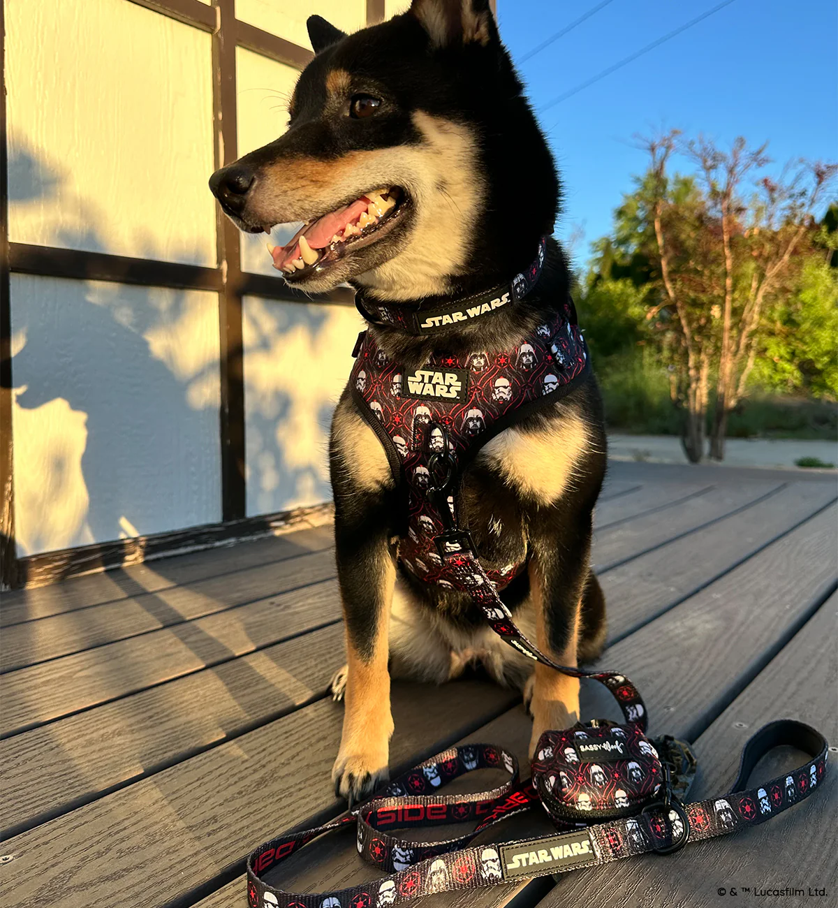 Dog Adjustable Harness - STAR WARS™ The Dark Side - Image 10