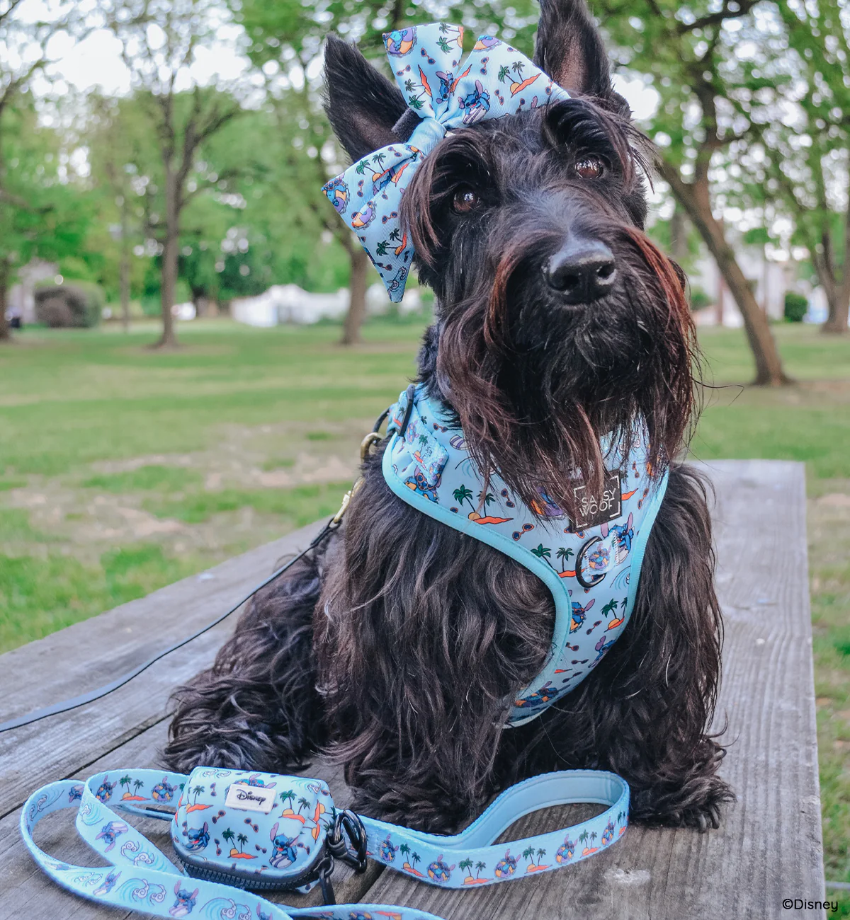 Dog Adjustable Harness - Disney's Stitch - Image 10