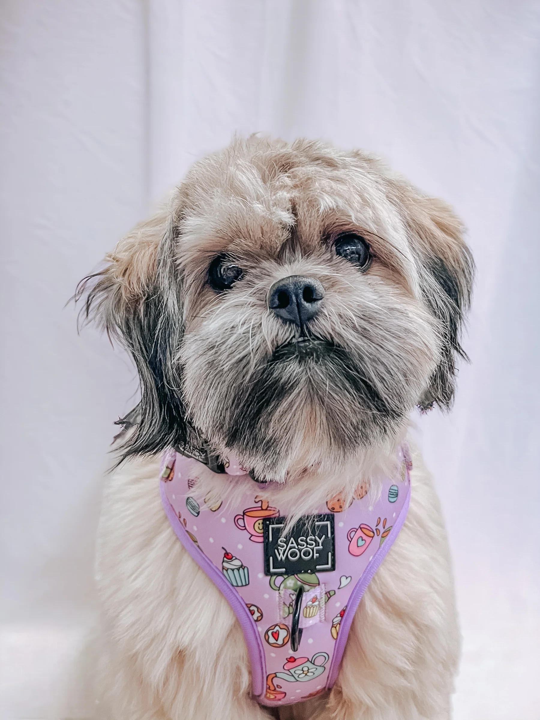 Dog Adjustable Harness - Tea Pawty - Image 6