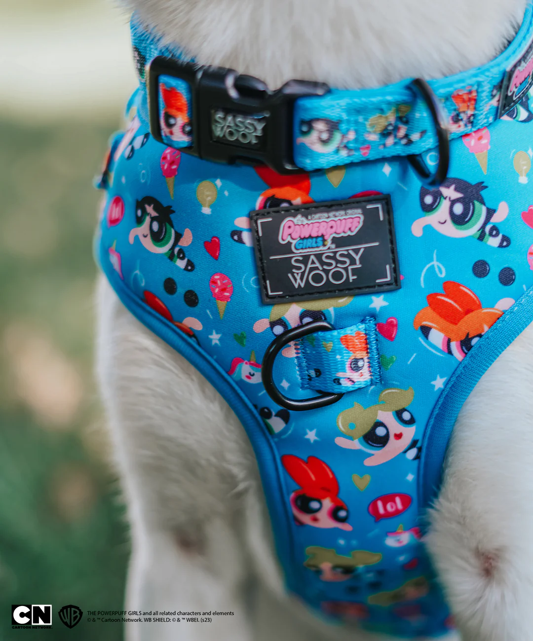 Dog Adjustable Harness - The Powerpuff Girls™ (Blue) - Image 11