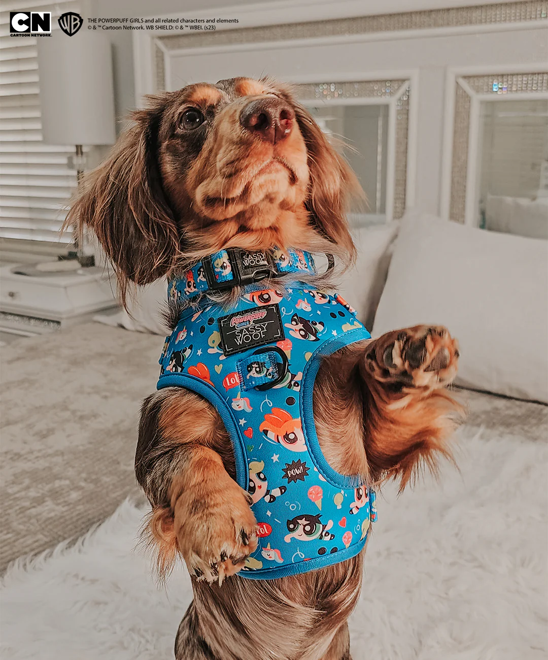 Dog Adjustable Harness - The Powerpuff Girls™ (Blue) - Image 16