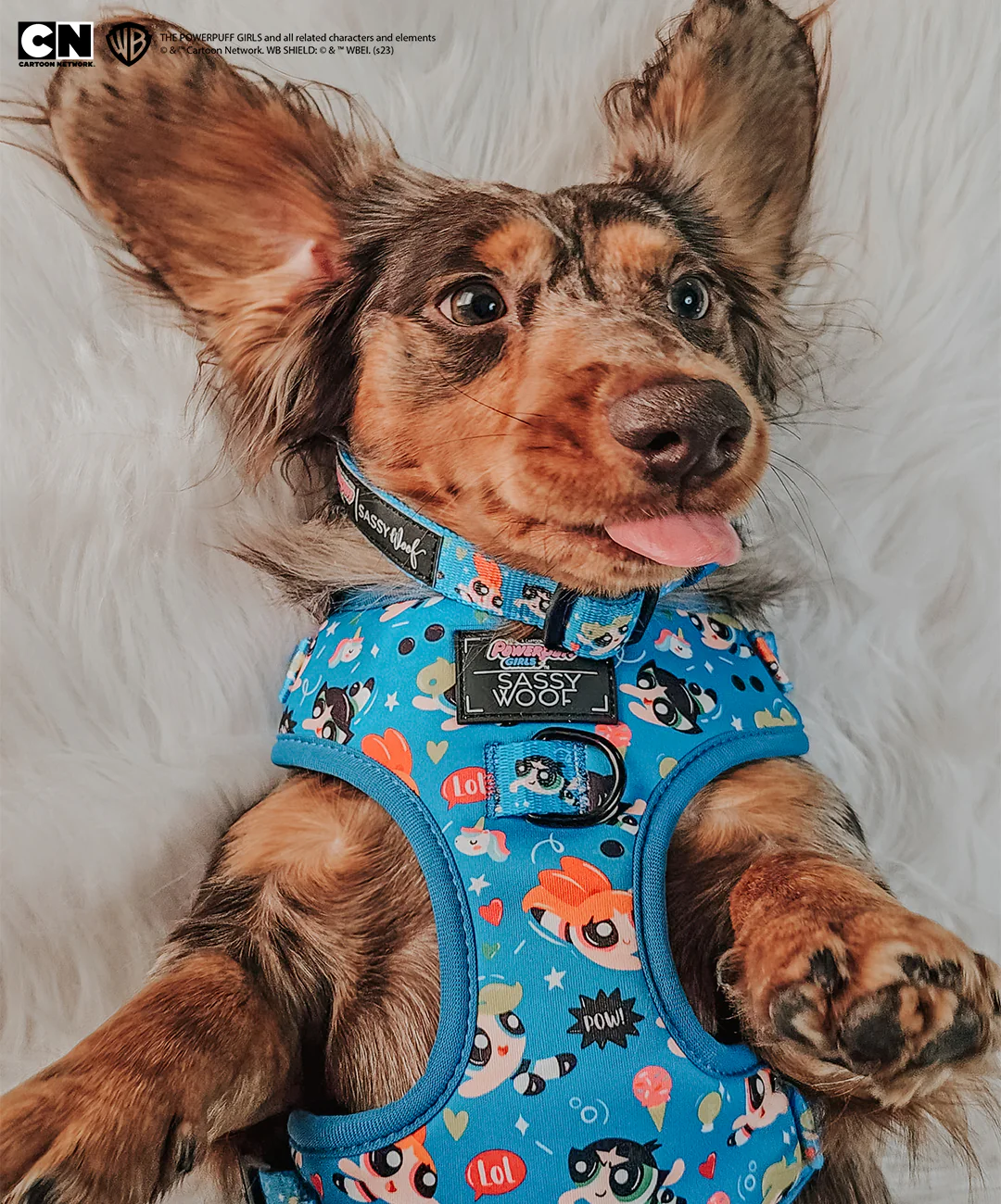 Dog Adjustable Harness - The Powerpuff Girls™ (Blue) - Image 17