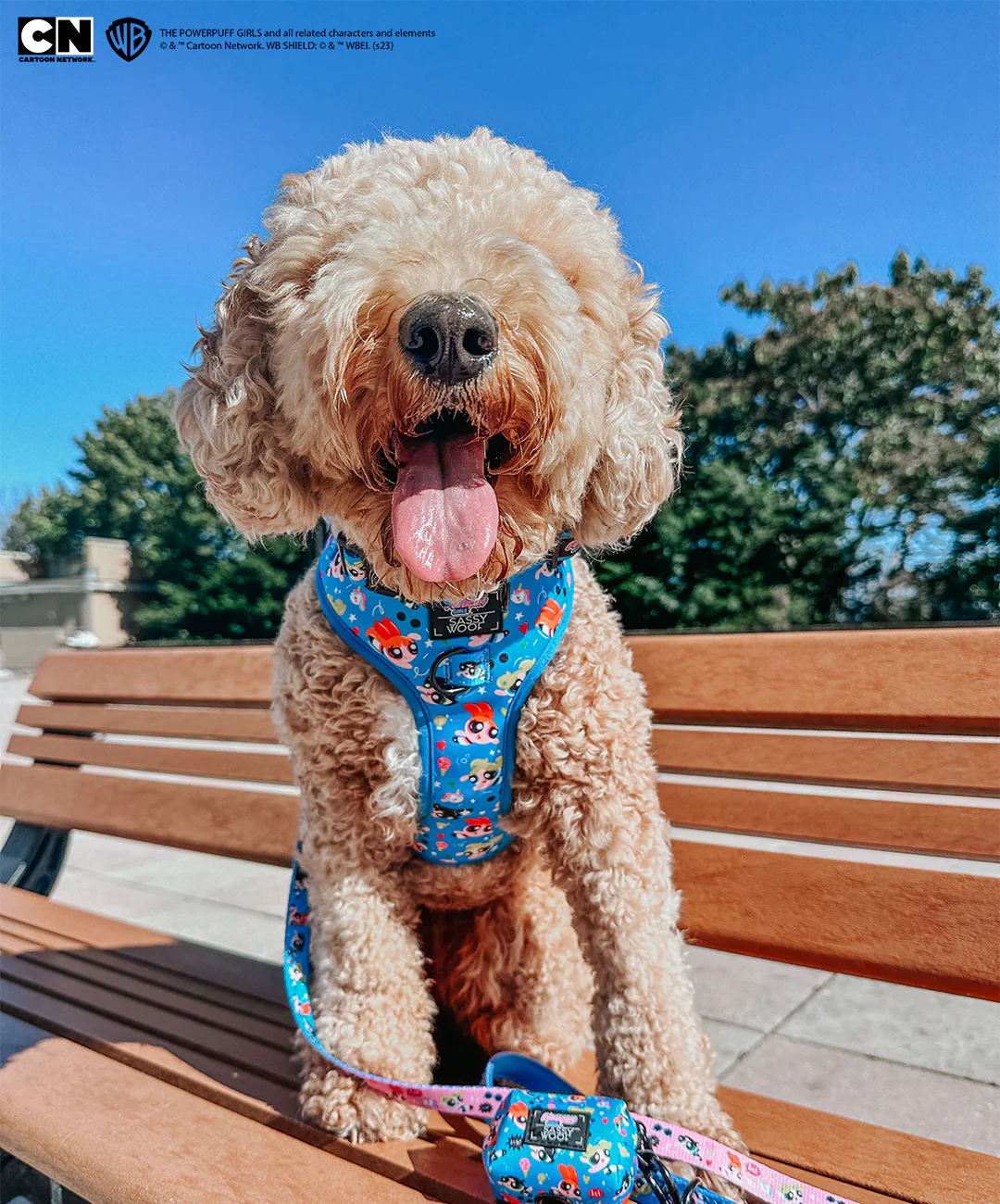 Dog Adjustable Harness - The Powerpuff Girls™ (Blue) - Image 18