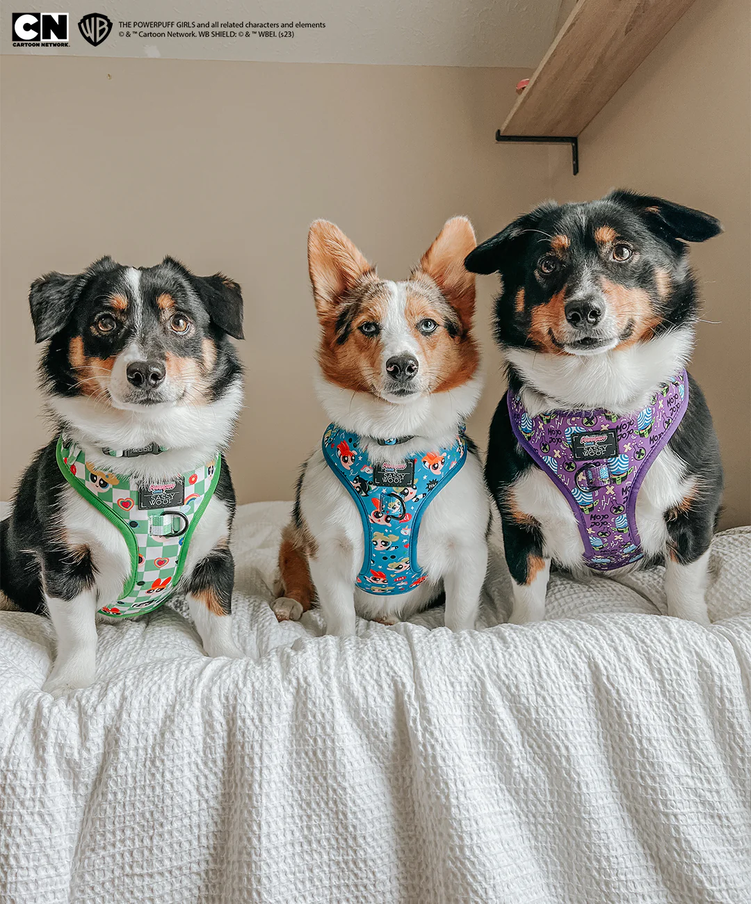 Dog Adjustable Harness - The Powerpuff Girls™ (Blue) - Image 19