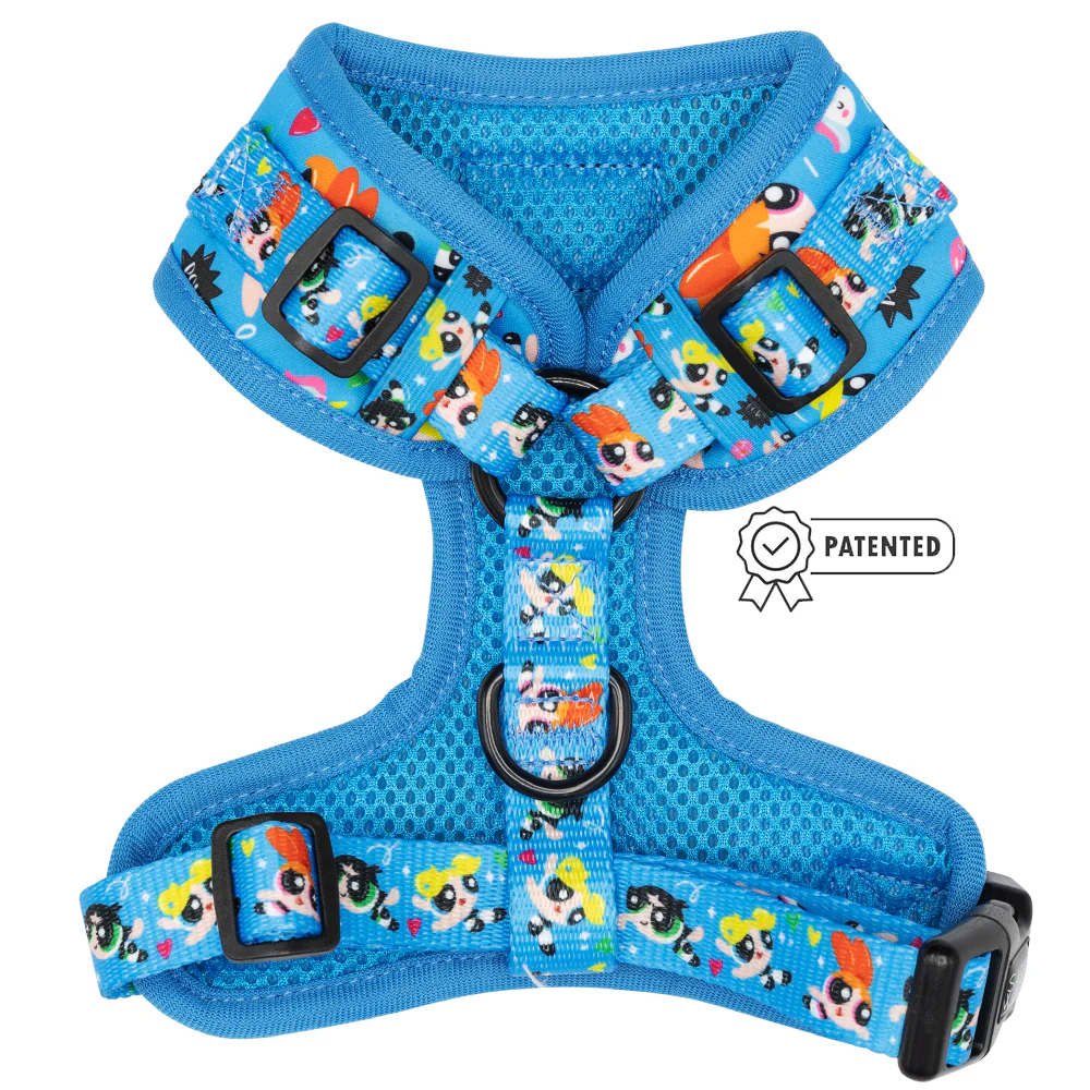 Dog Adjustable Harness - The Powerpuff Girls™ (Blue) - Image 2