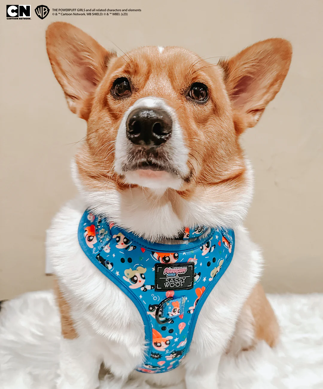 Dog Adjustable Harness - The Powerpuff Girls™ (Blue) - Image 6