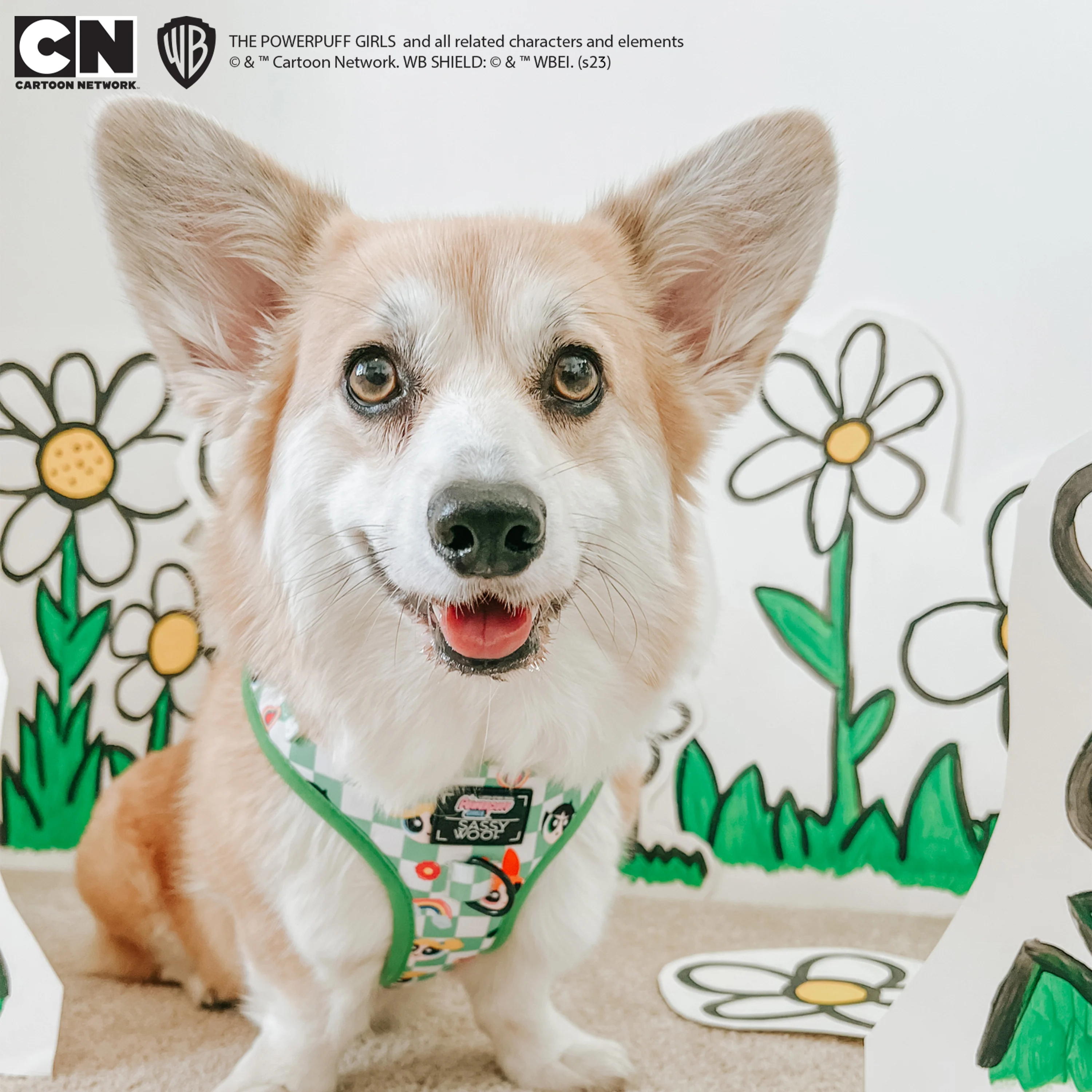 Dog Adjustable Harness - The Powerpuff Girls™ (Green) - Image 11