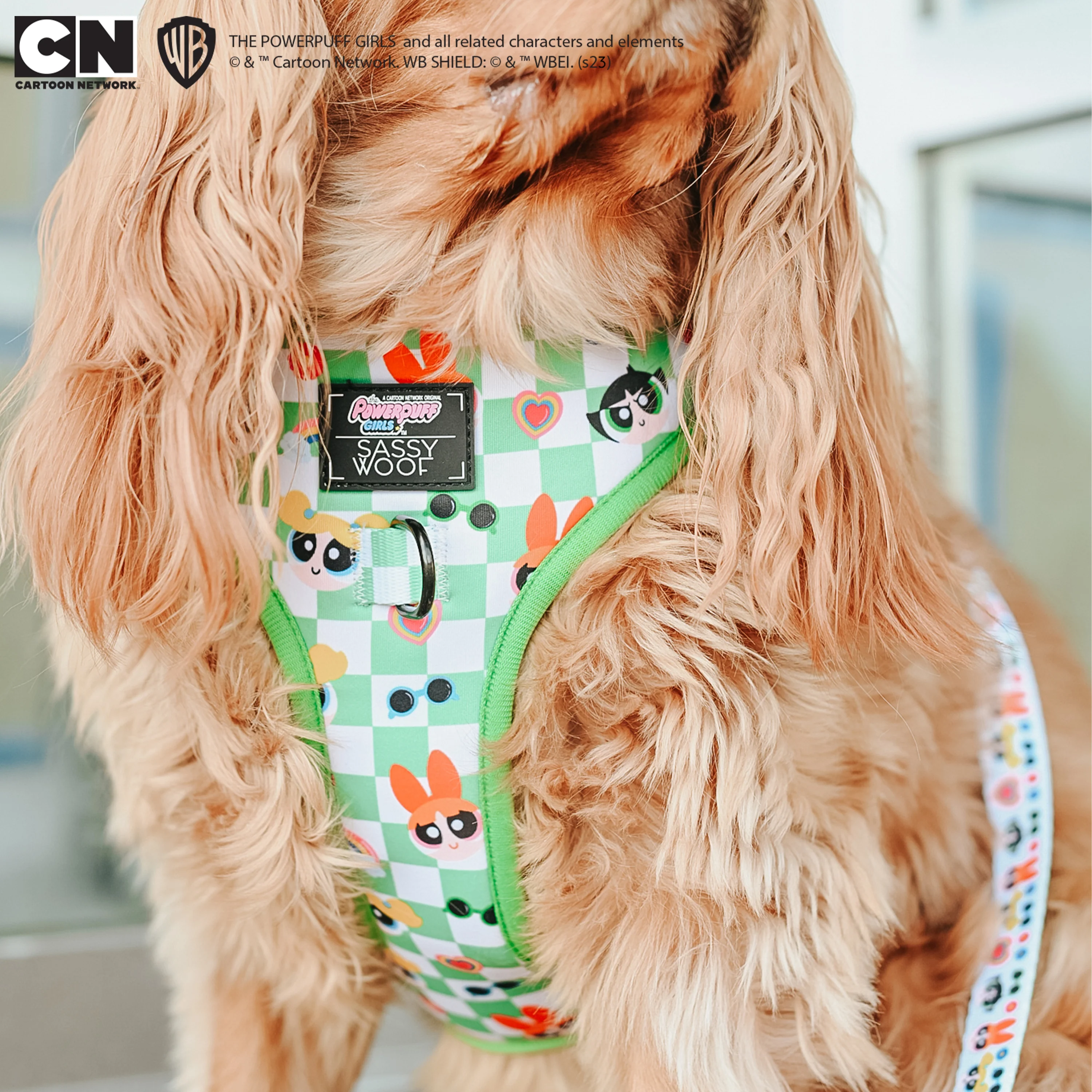 Dog Adjustable Harness - The Powerpuff Girls™ (Green) - Image 12