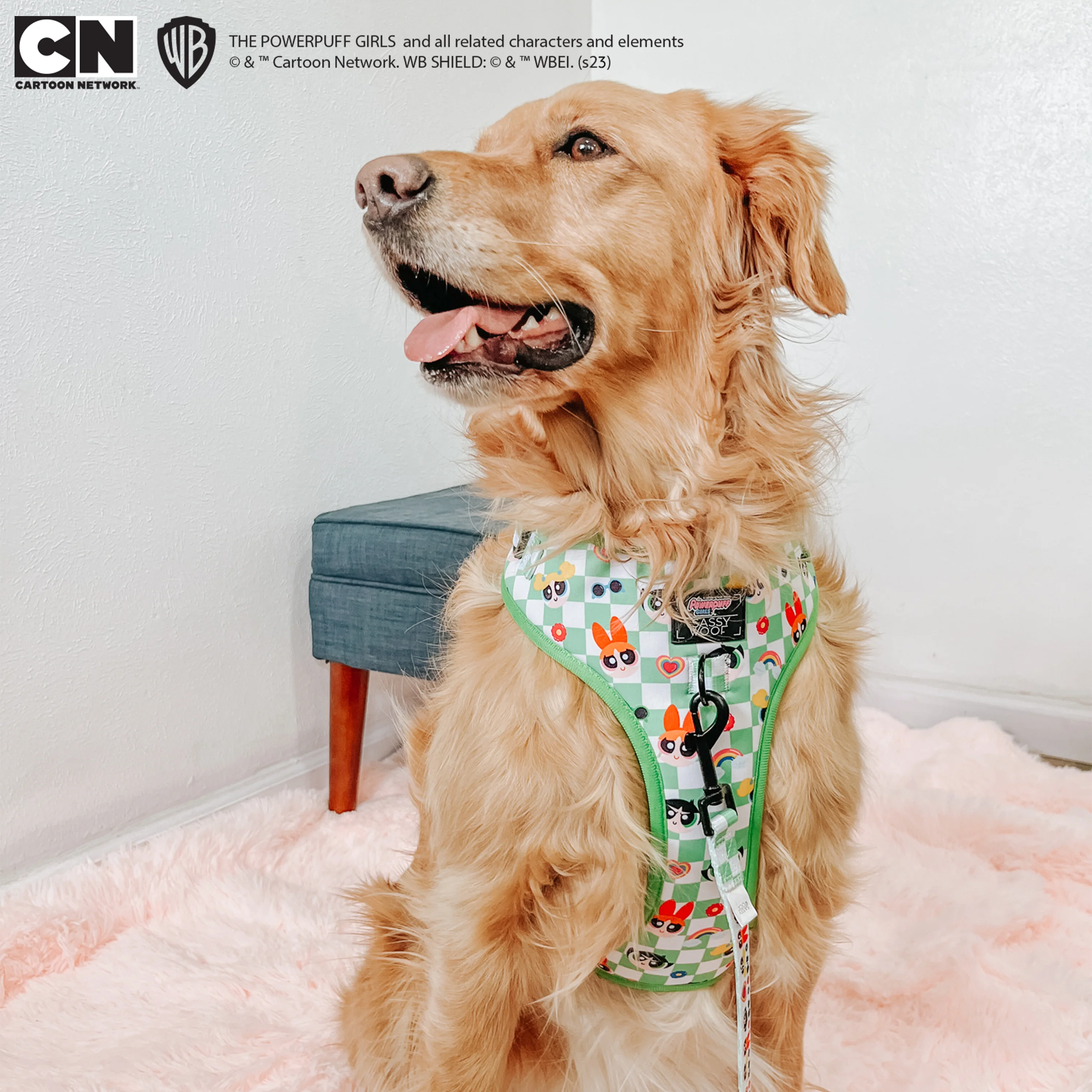 Dog Adjustable Harness - The Powerpuff Girls™ (Green) - Image 13