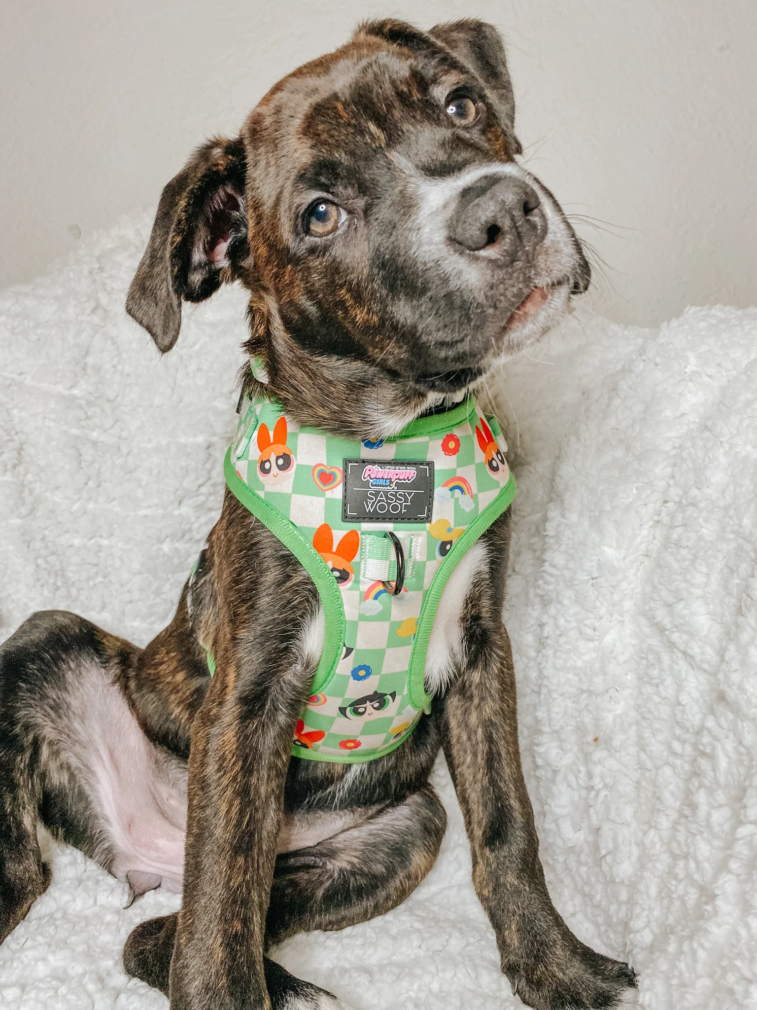 Dog Adjustable Harness - The Powerpuff Girls™ (Green) - Image 14