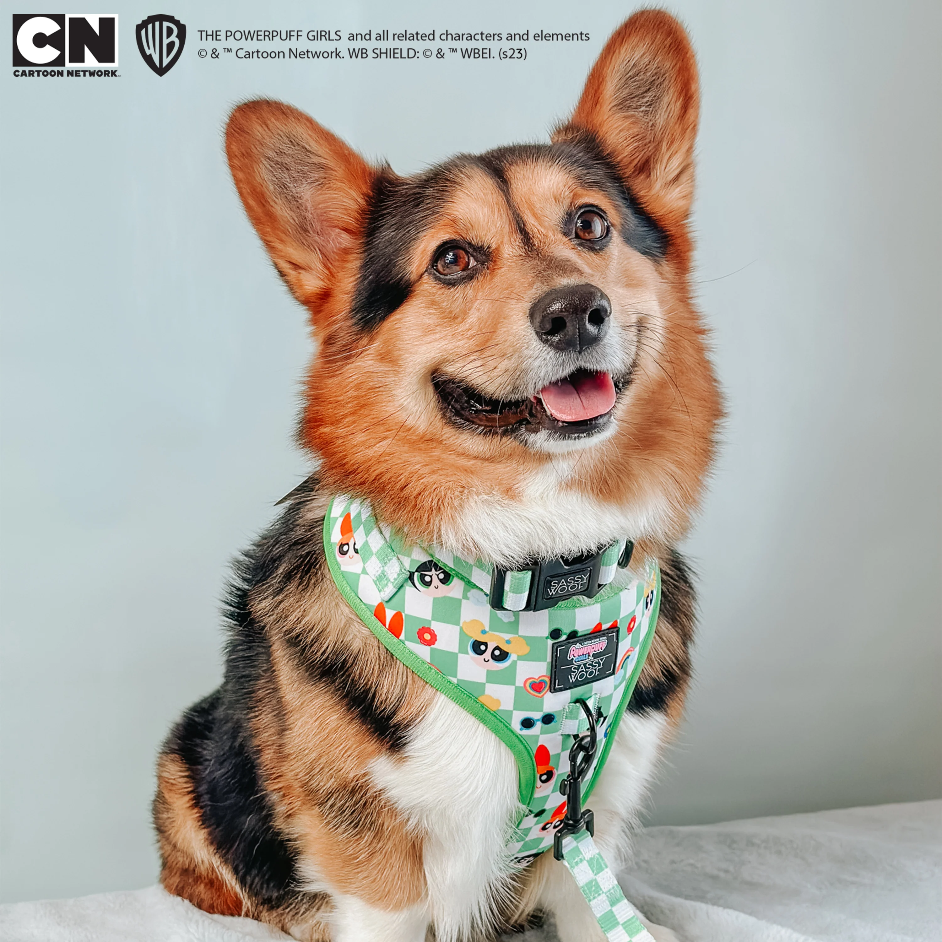 Dog Adjustable Harness - The Powerpuff Girls™ (Green) - Image 15