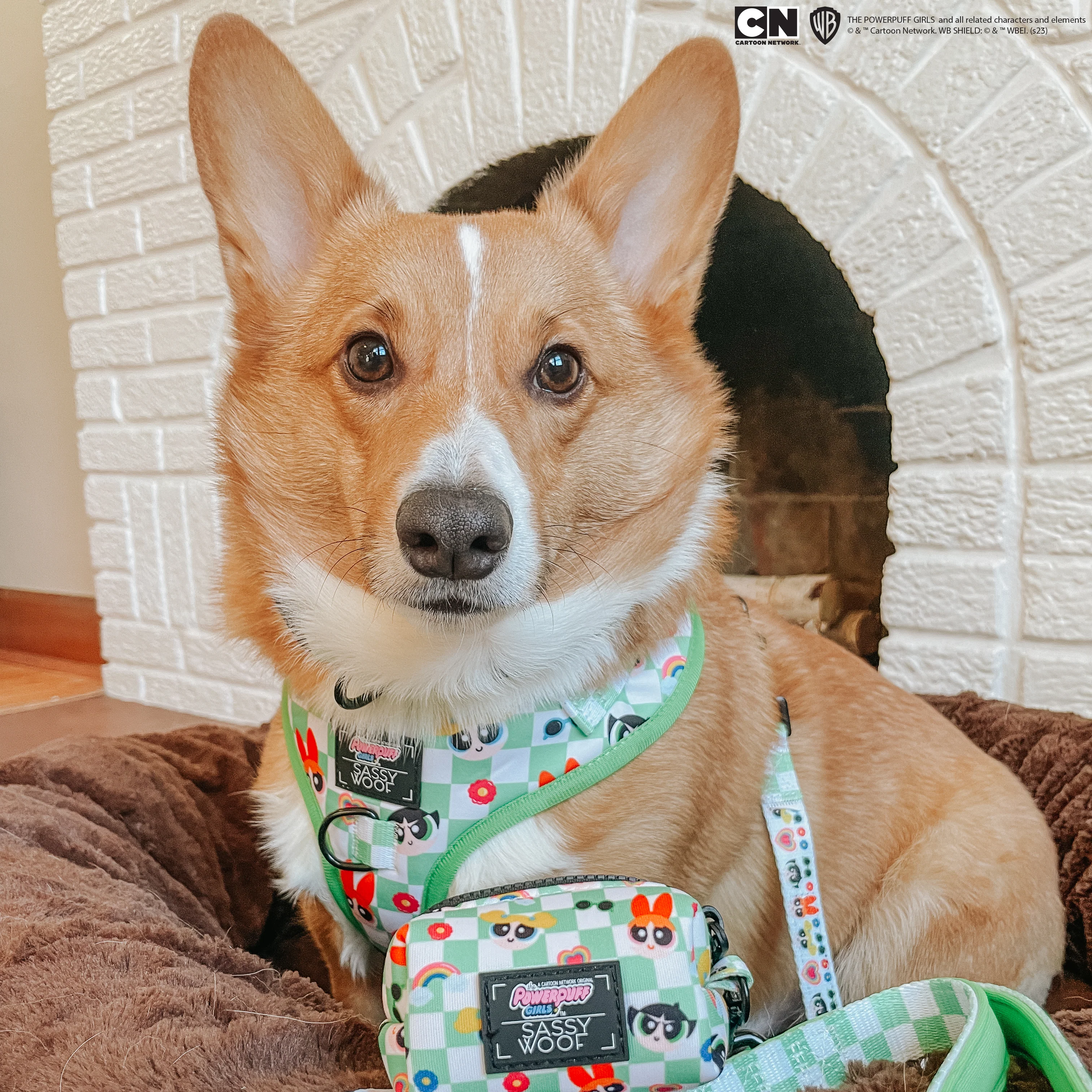 Dog Adjustable Harness - The Powerpuff Girls™ (Green) - Image 16
