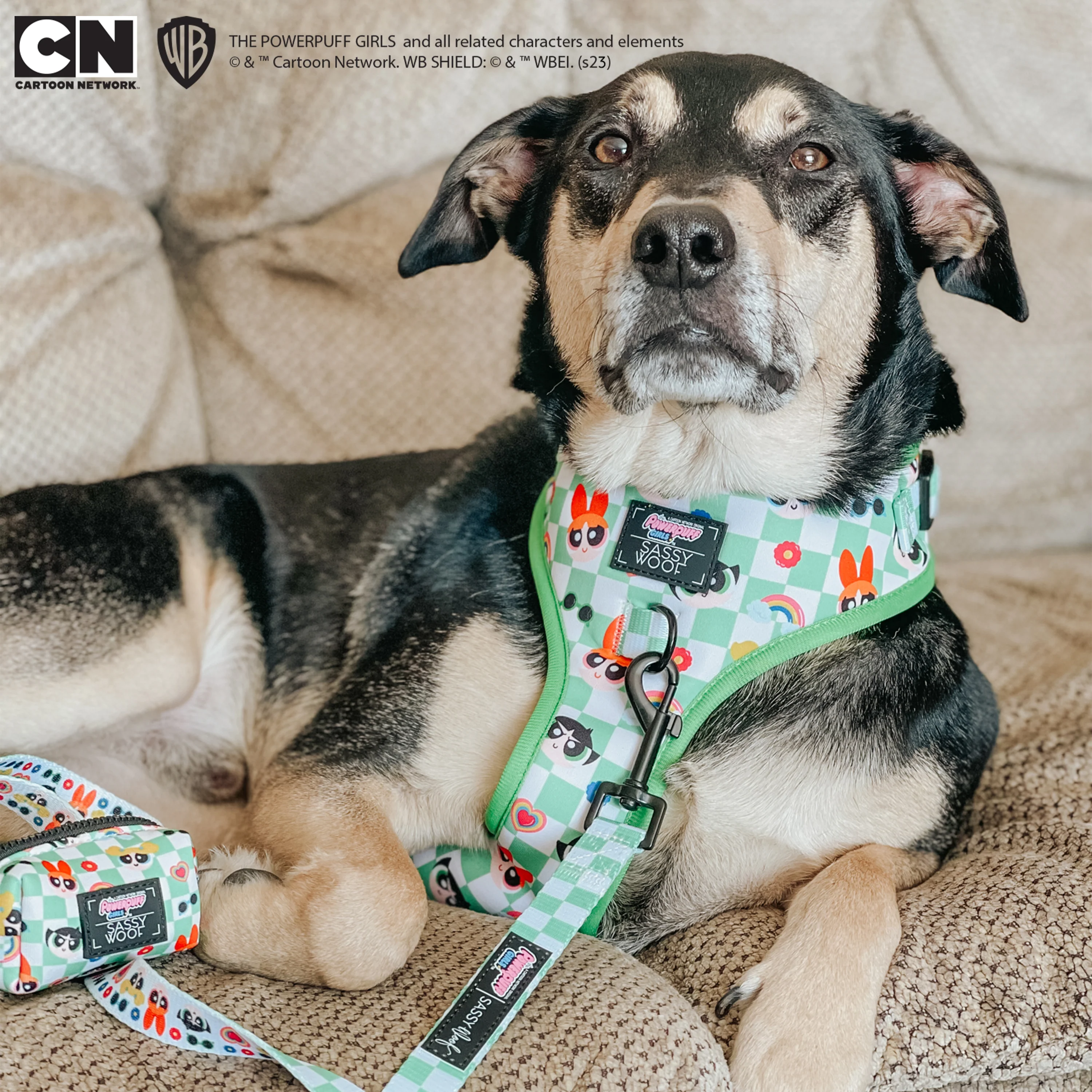 Dog Adjustable Harness - The Powerpuff Girls™ (Green) - Image 17