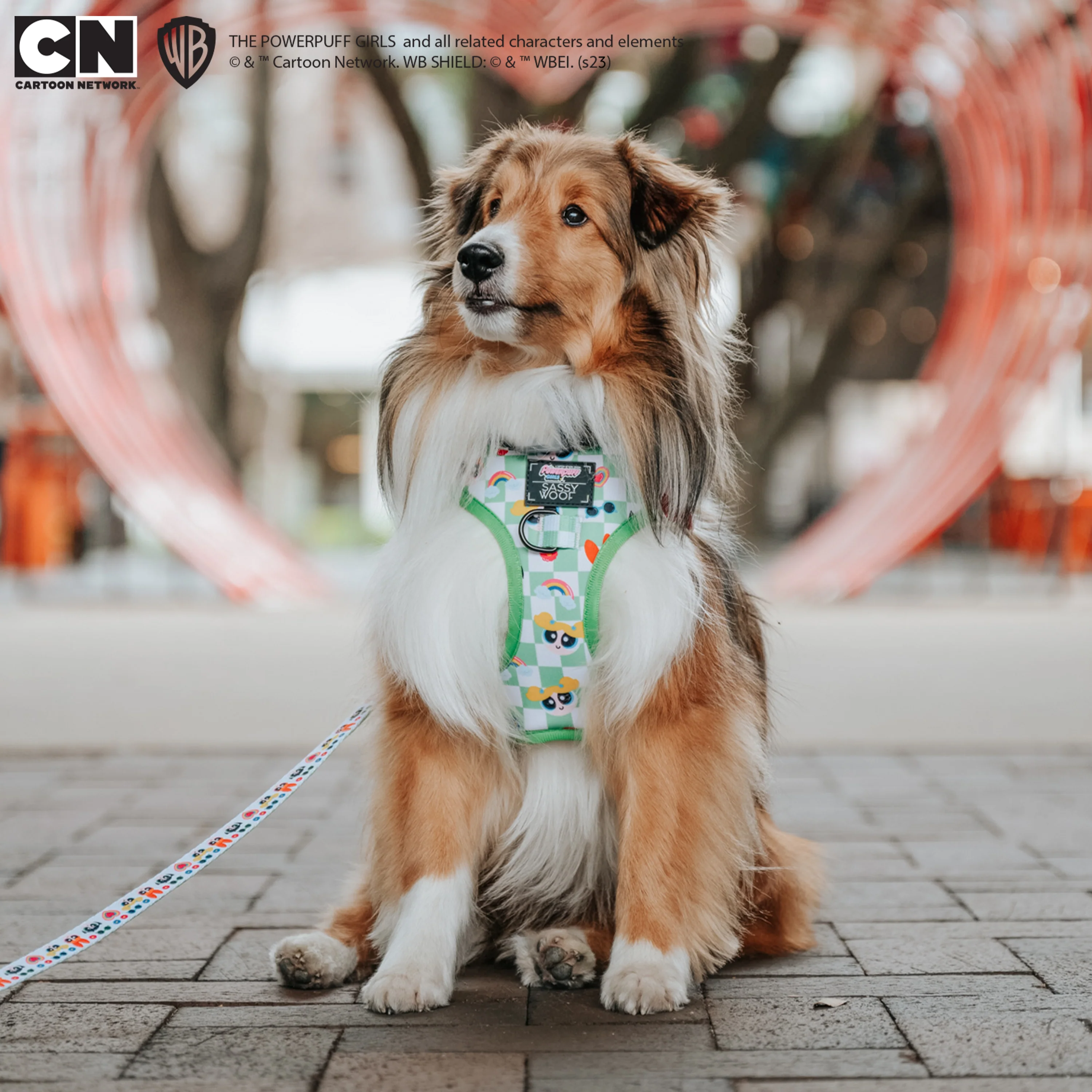 Dog Adjustable Harness - The Powerpuff Girls™ (Green) - Image 18