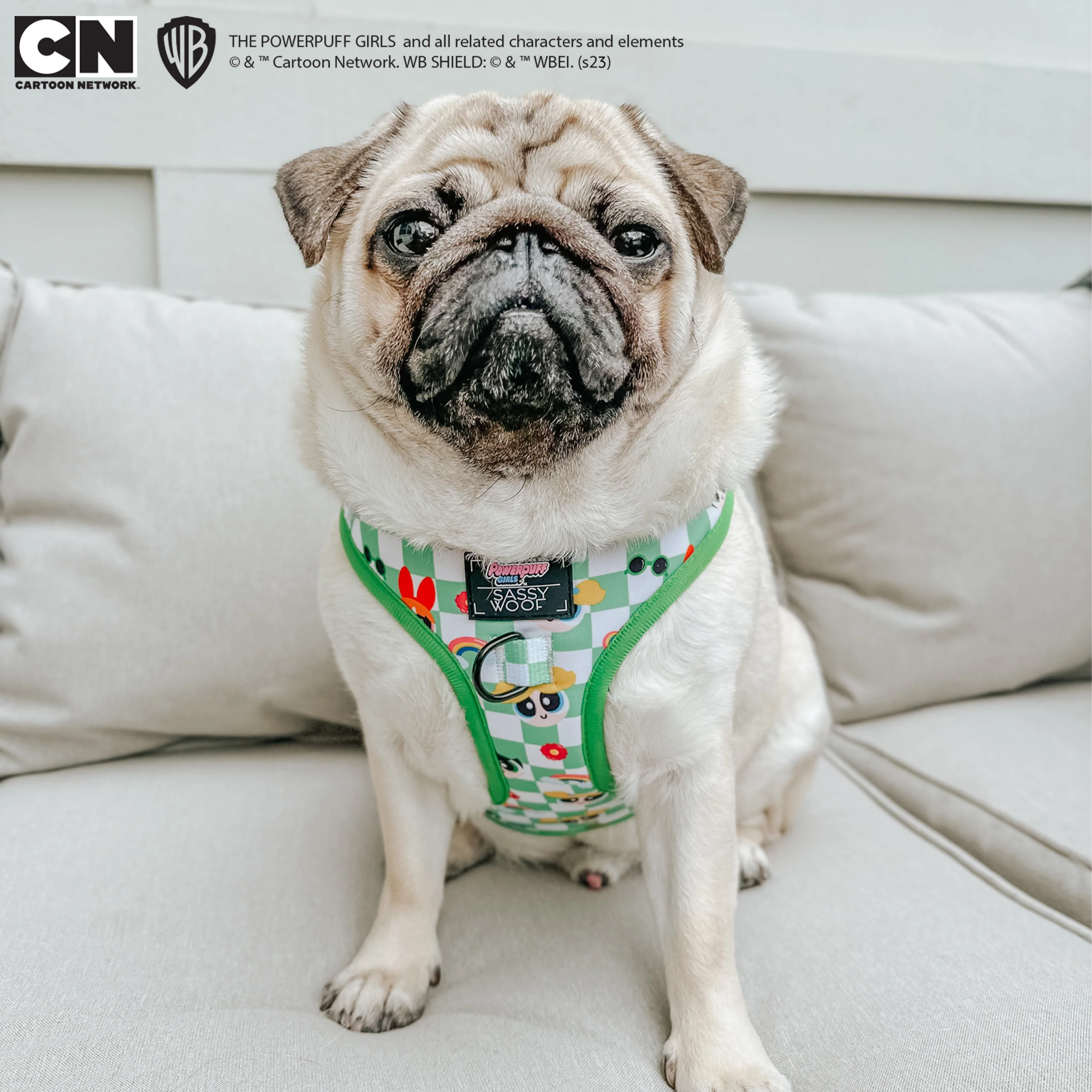 Dog Adjustable Harness - The Powerpuff Girls™ (Green) - Image 20