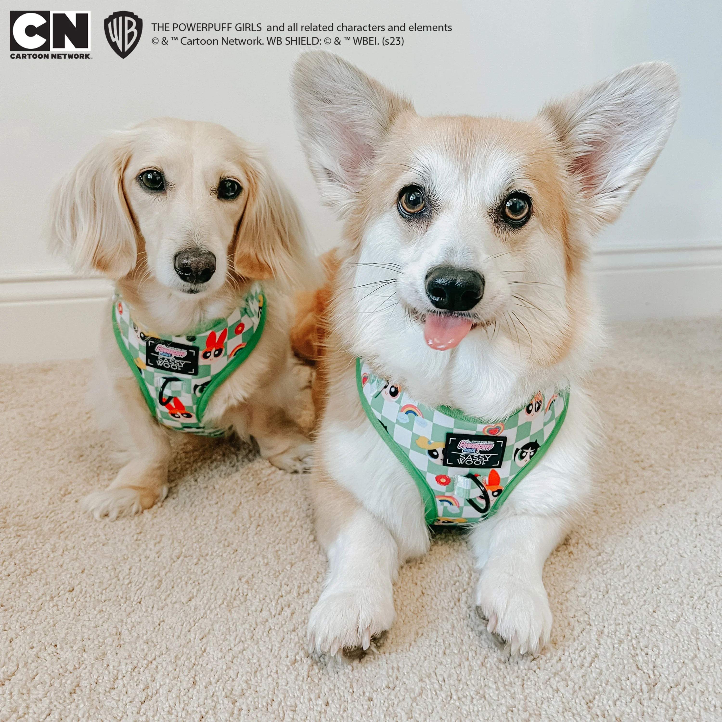Dog Adjustable Harness - The Powerpuff Girls™ (Green) - Image 21