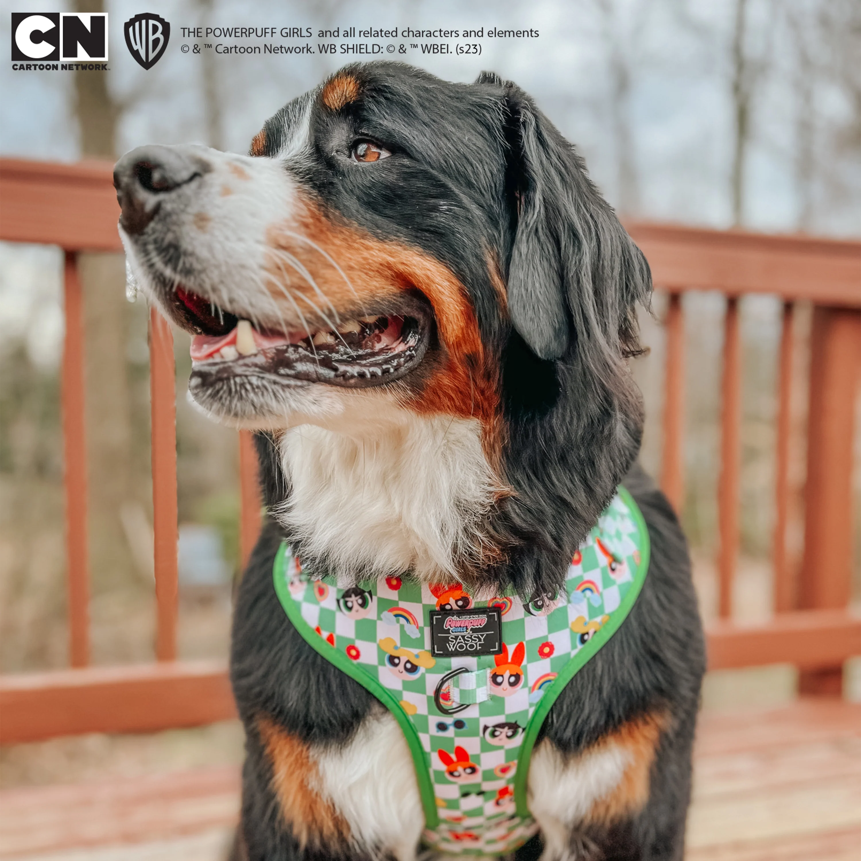 Dog Adjustable Harness - The Powerpuff Girls™ (Green) - Image 23
