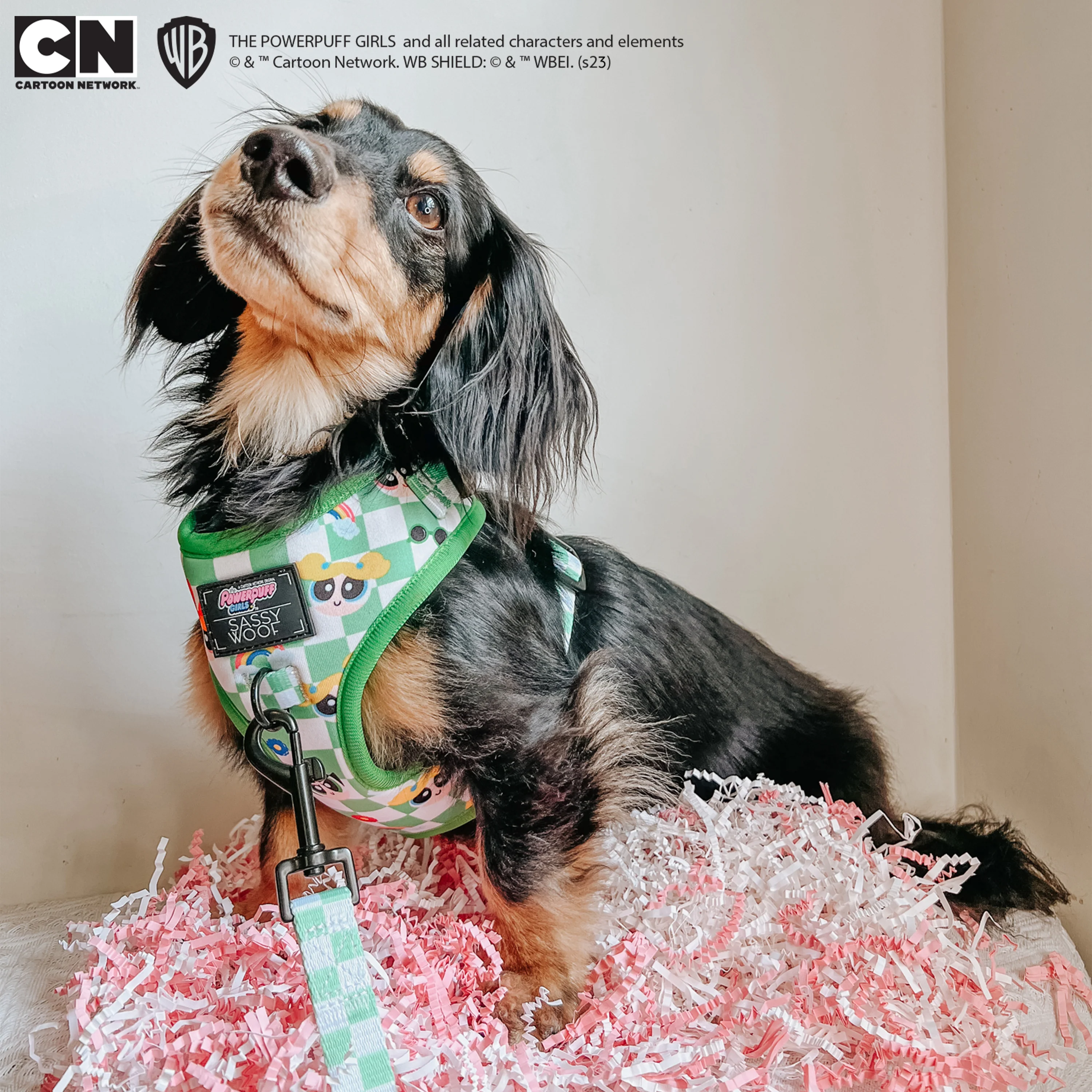 Dog Adjustable Harness - The Powerpuff Girls™ (Green) - Image 25
