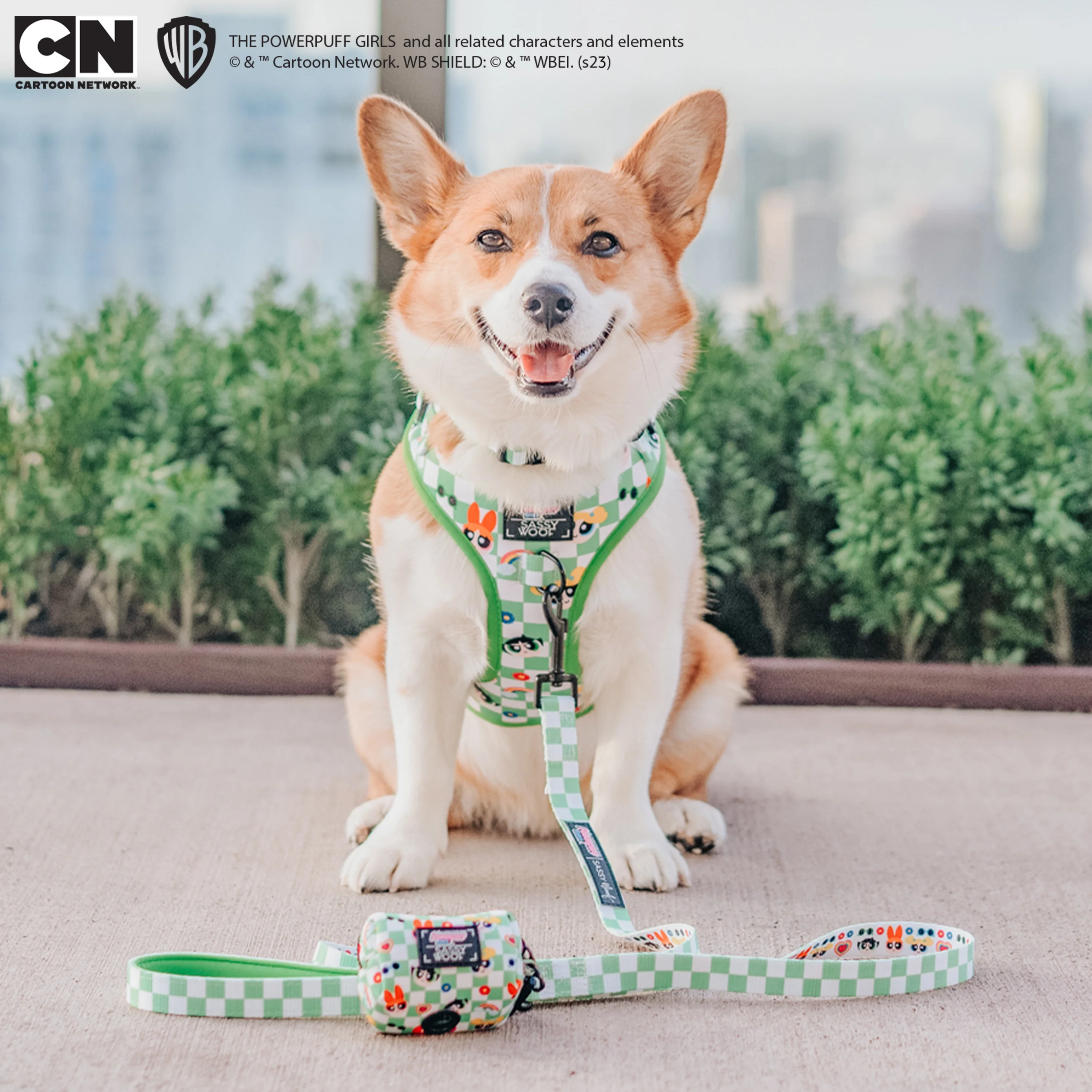Dog Adjustable Harness - The Powerpuff Girls™ (Green) - Image 26